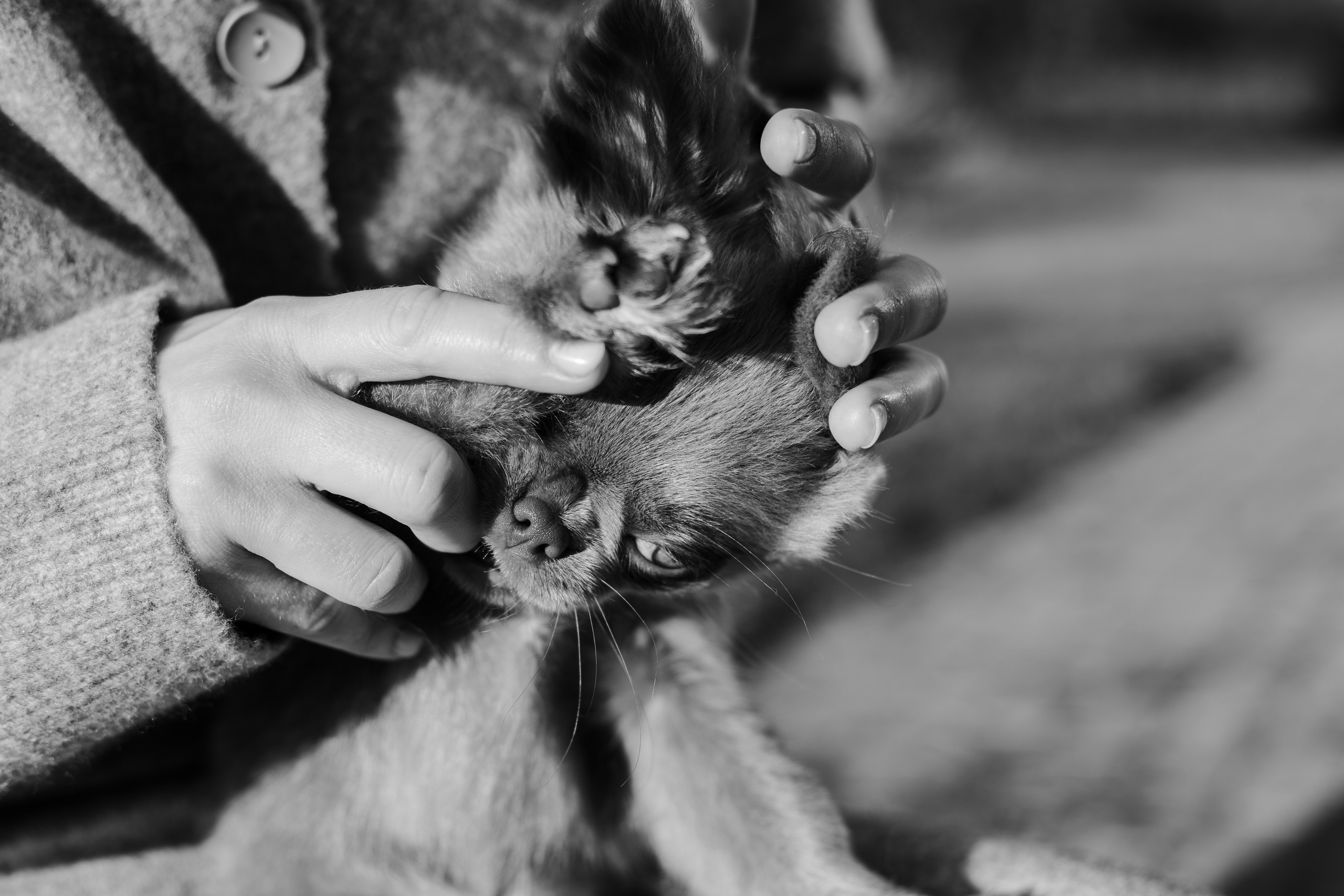Варя и Фунтик. Фотограф-анималист Мария Баркевич | Москва