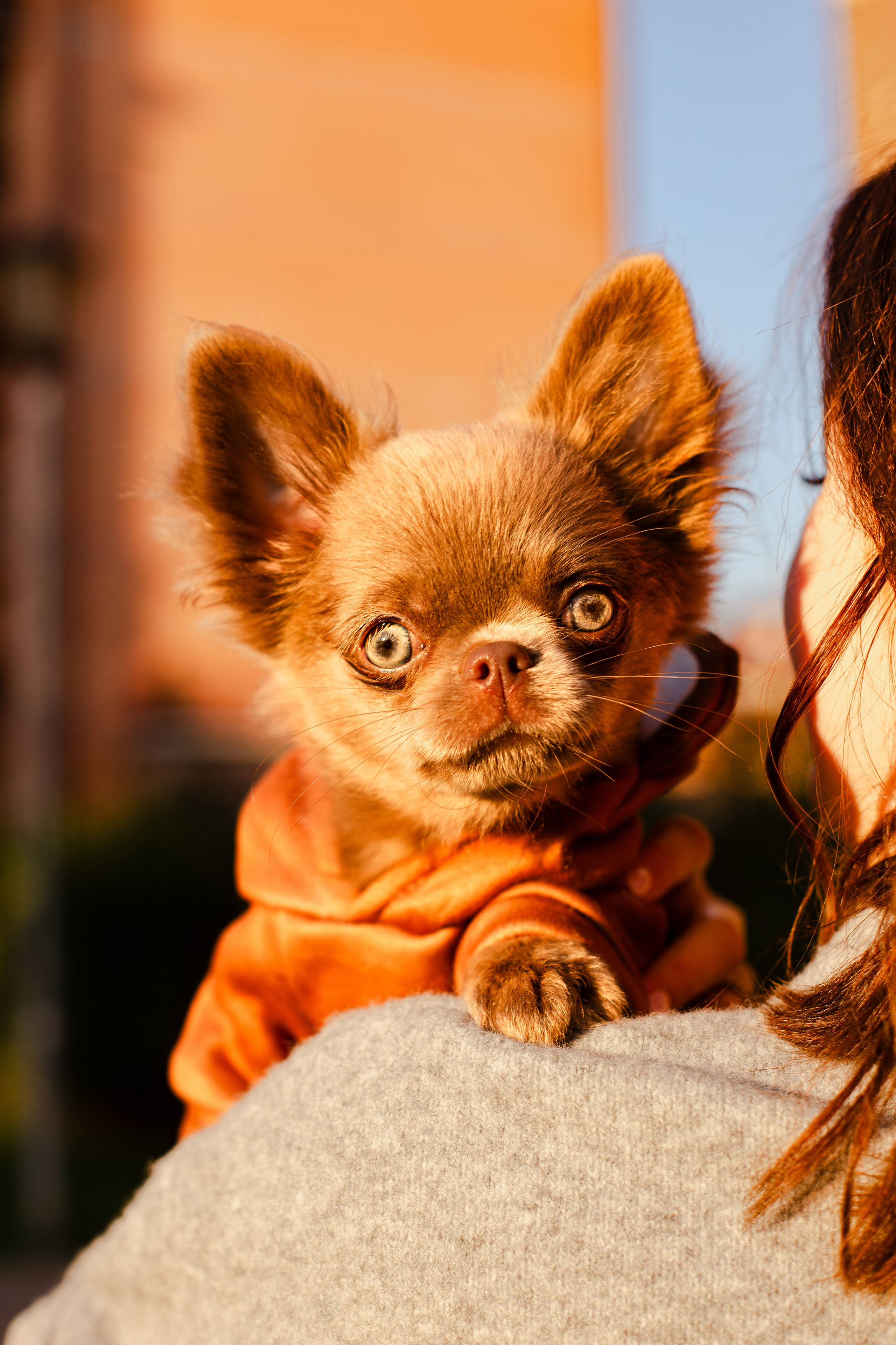 Варя и Фунтик. Фотограф-анималист Мария Баркевич | Москва