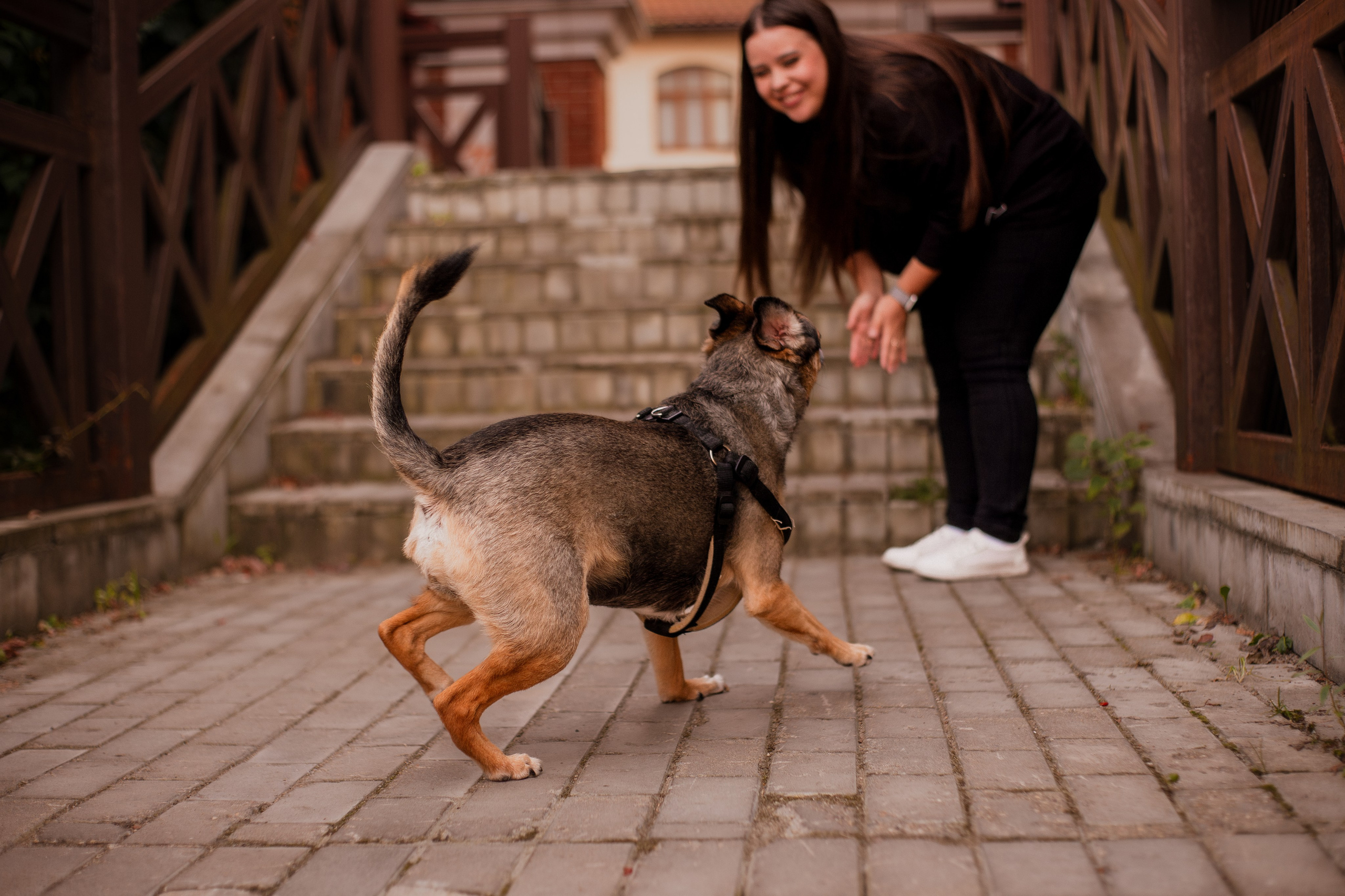 Виктория и Раф. Фотограф-анималист Мария Баркевич | Москва