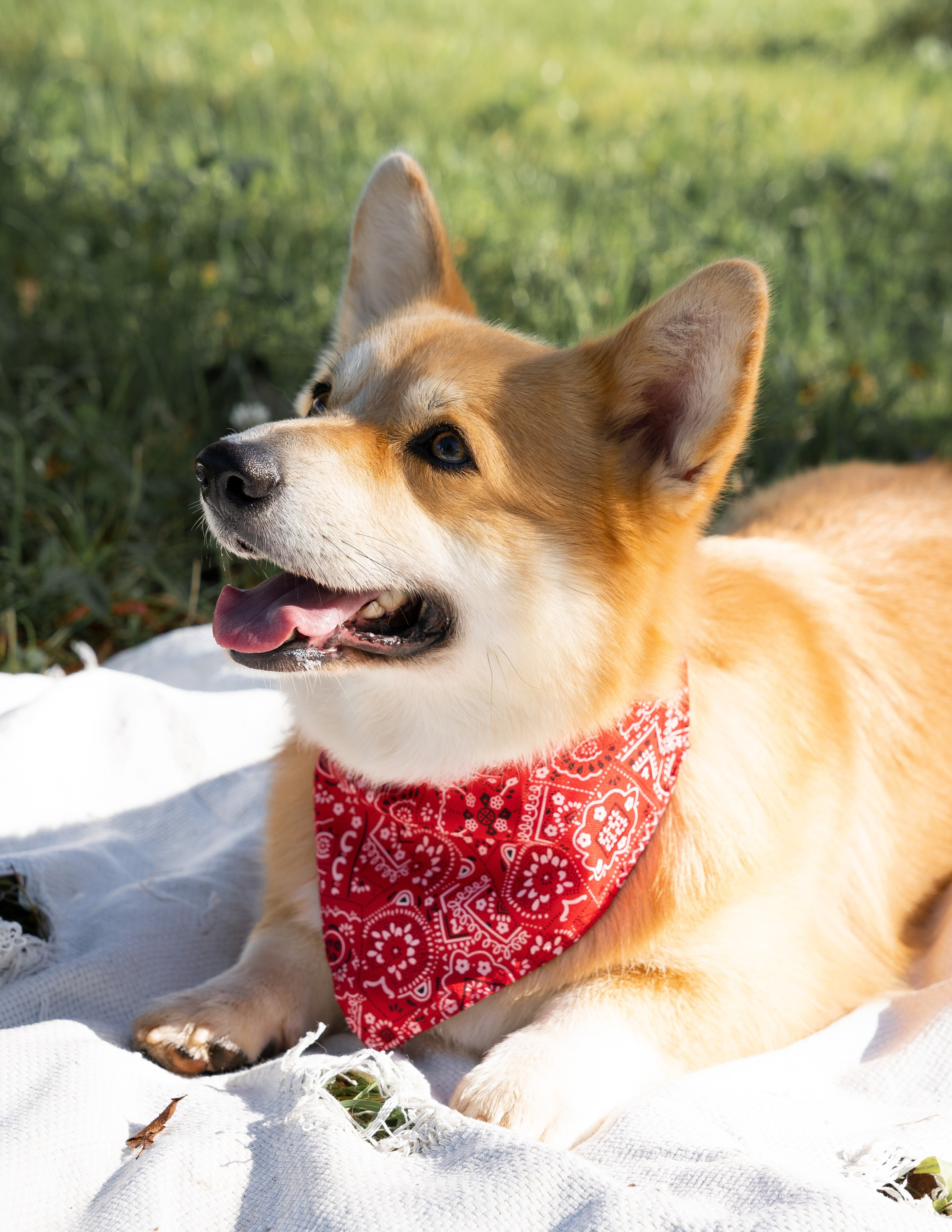 В парке. Студийный и портретный фотограф в САНКТ-ПЕТЕРБУРГЕИрина Махаон