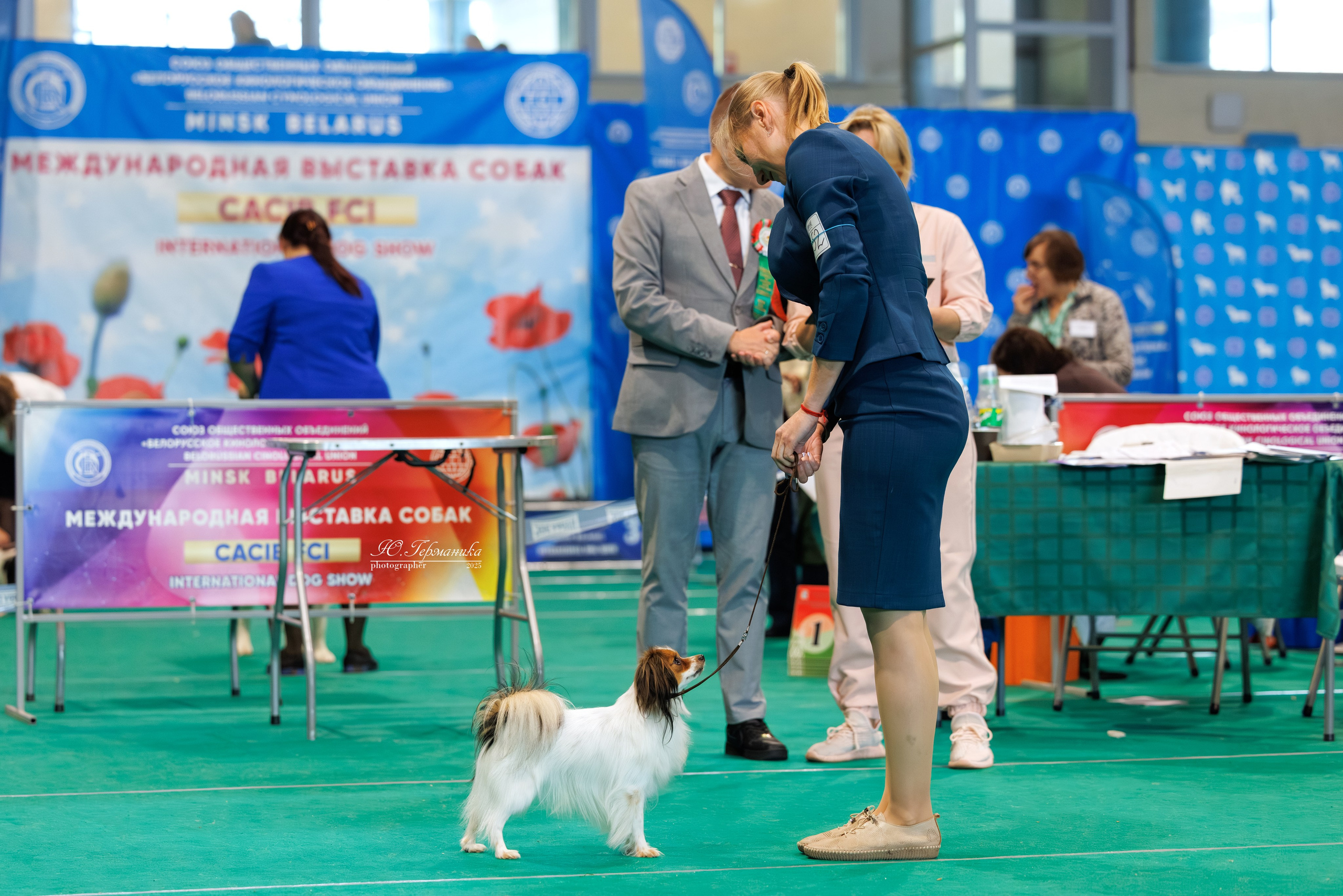 Минск 31.05-1.06.2025. Фотограф-анималист Юлия Германика