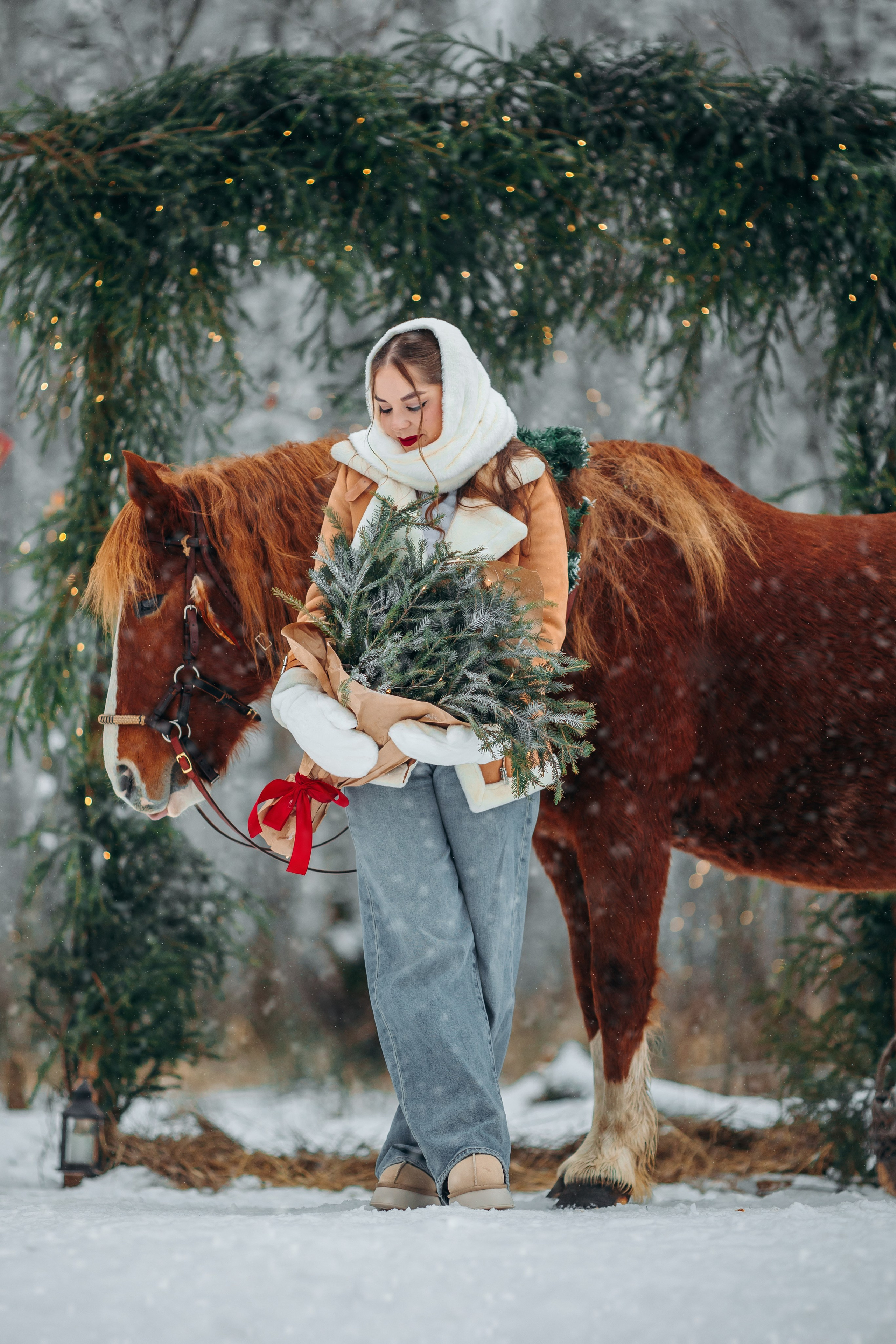 Тариф Новогодний 2025-2026. Анна Молчанова конный фотограф в Тюмени | фотосессии с лошадьми Тюмень