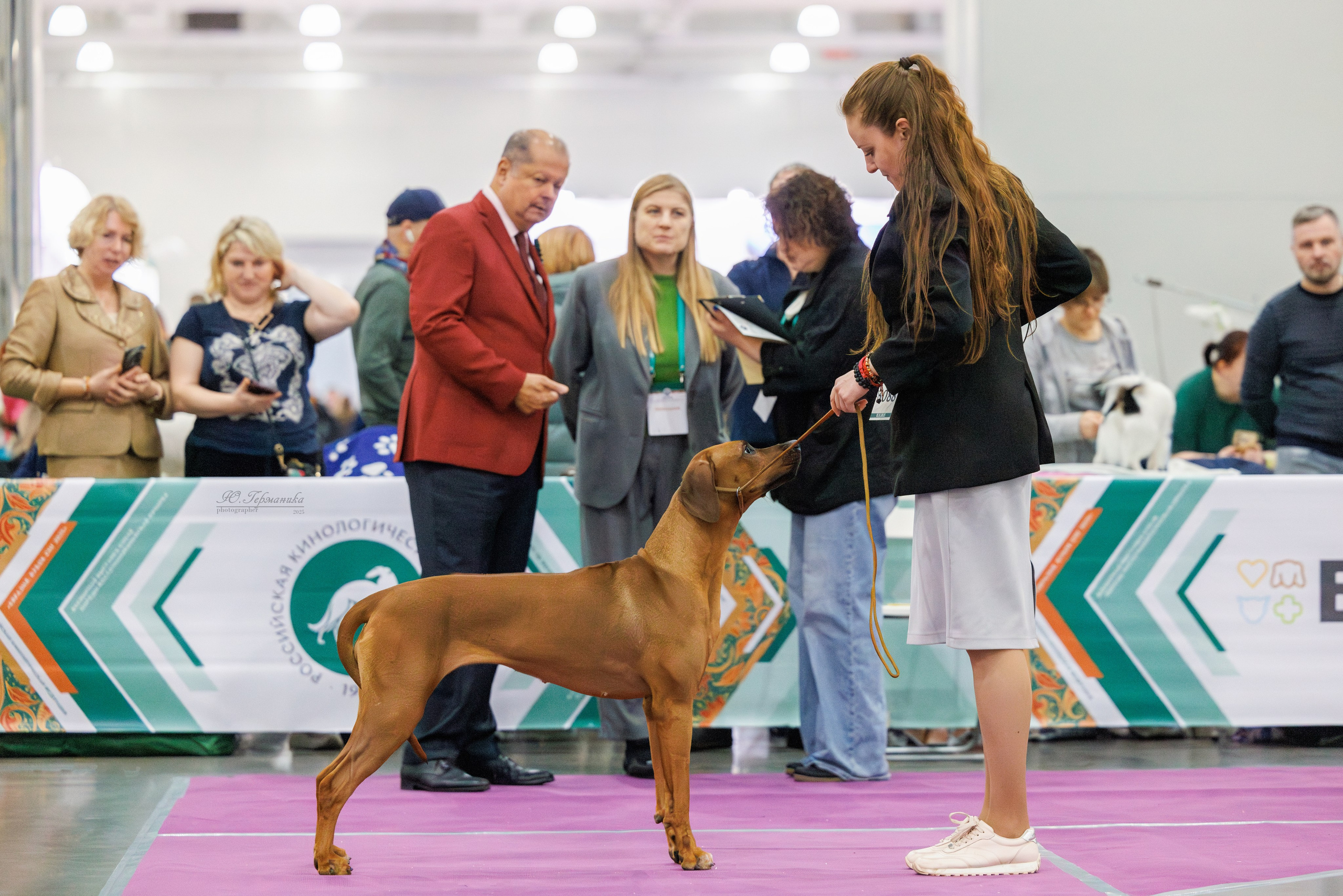 Евразия 15-16.11.2025. Фотограф-анималист Юлия Германика