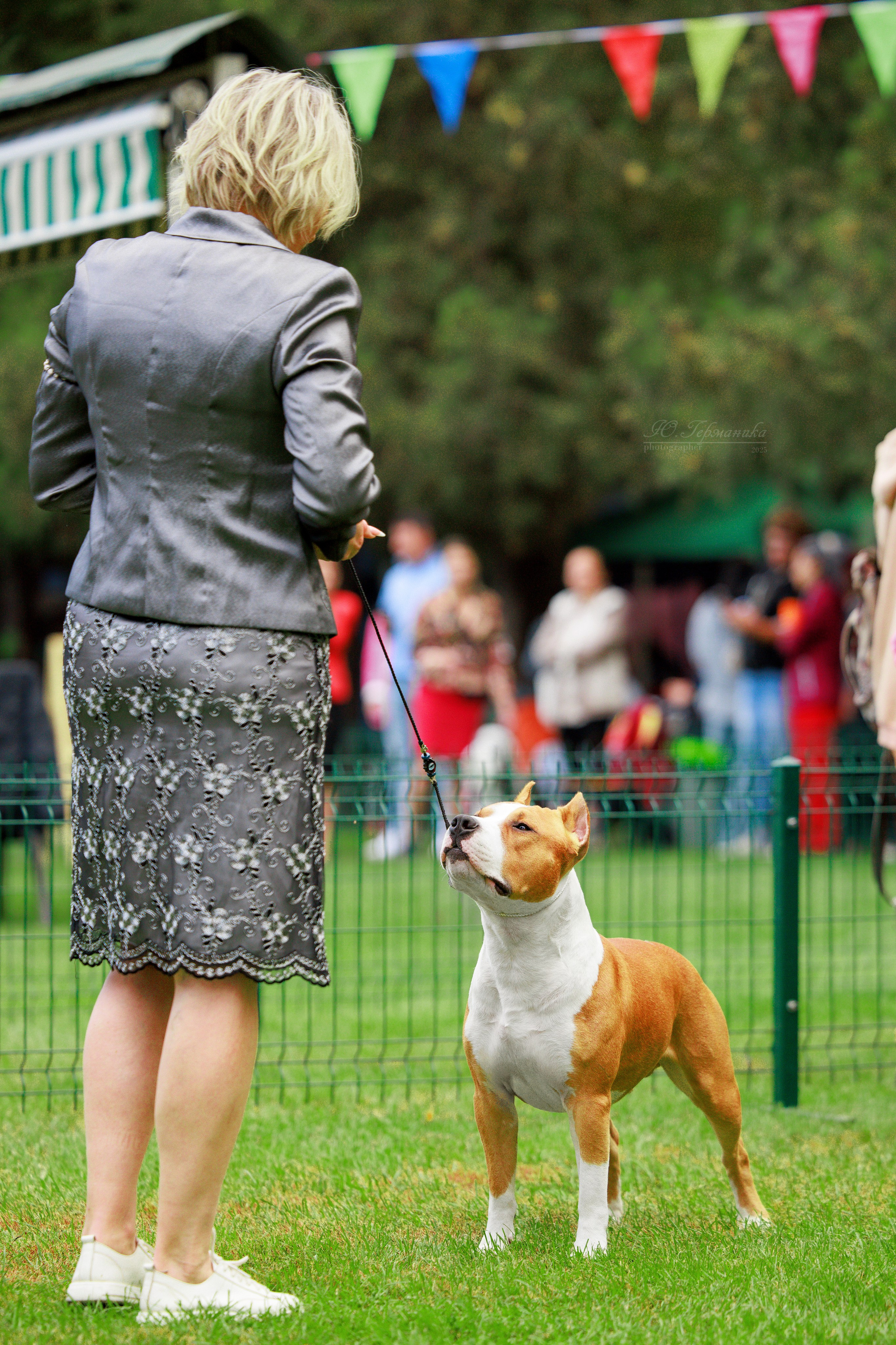 Бишкек 3х CACIB 26-28.09.2025. Фотограф-анималист Юлия Германика