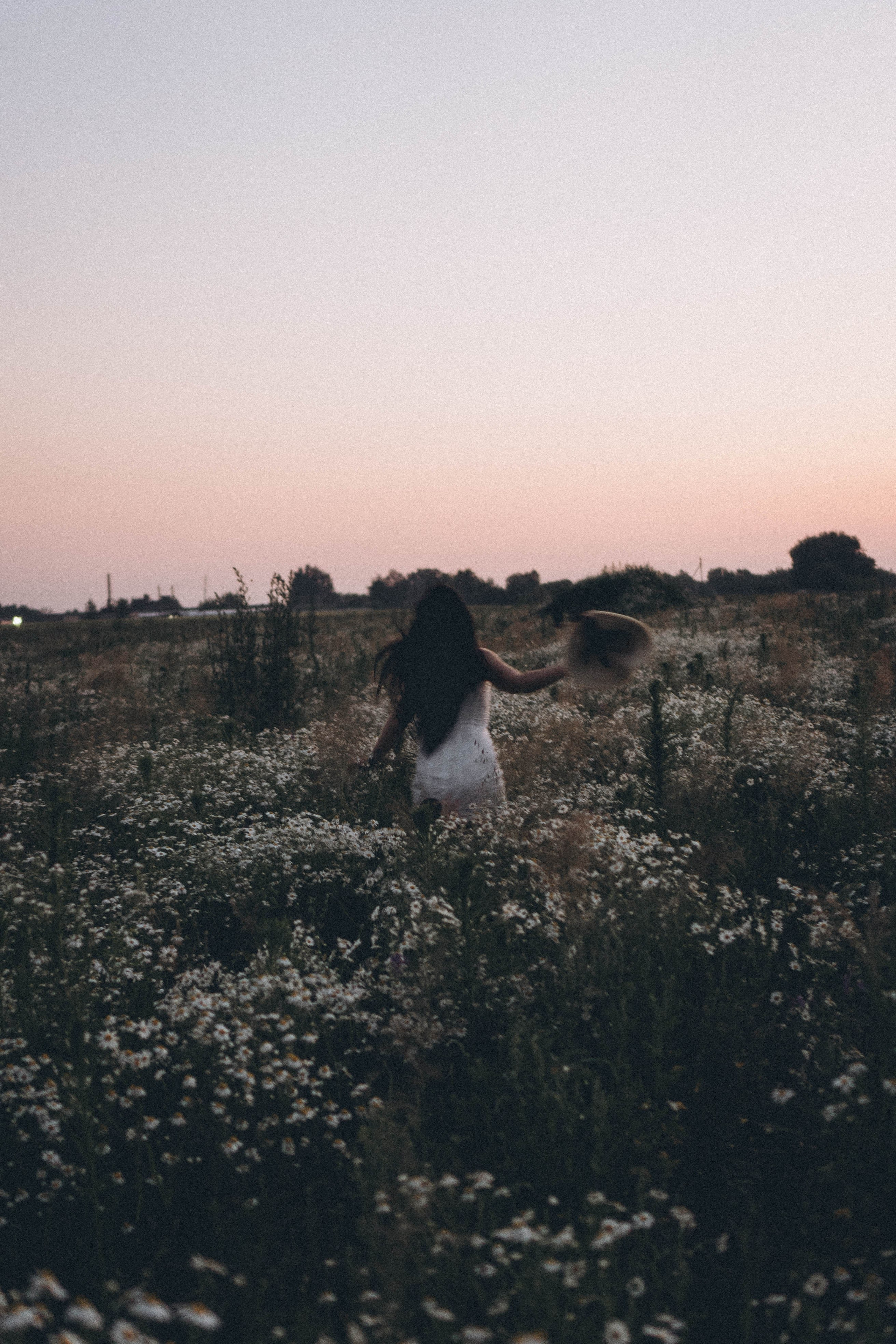 Ромашковое поле. Профессиональный фотограф, Санкт-Петербург — Виктория Богомолова