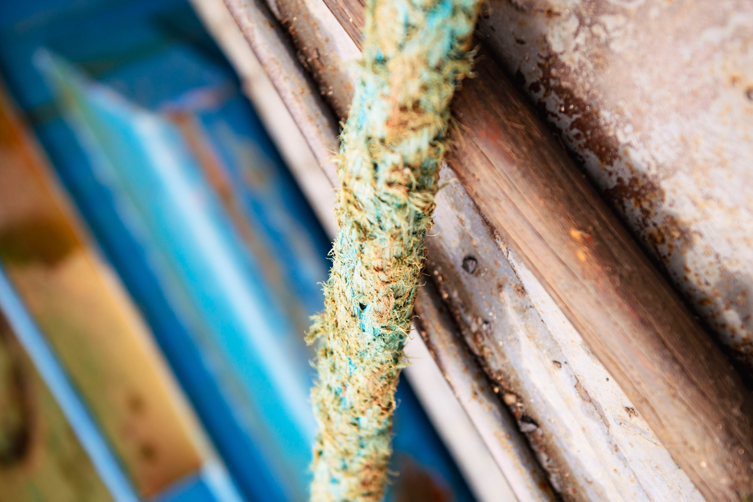 Визуальный мир