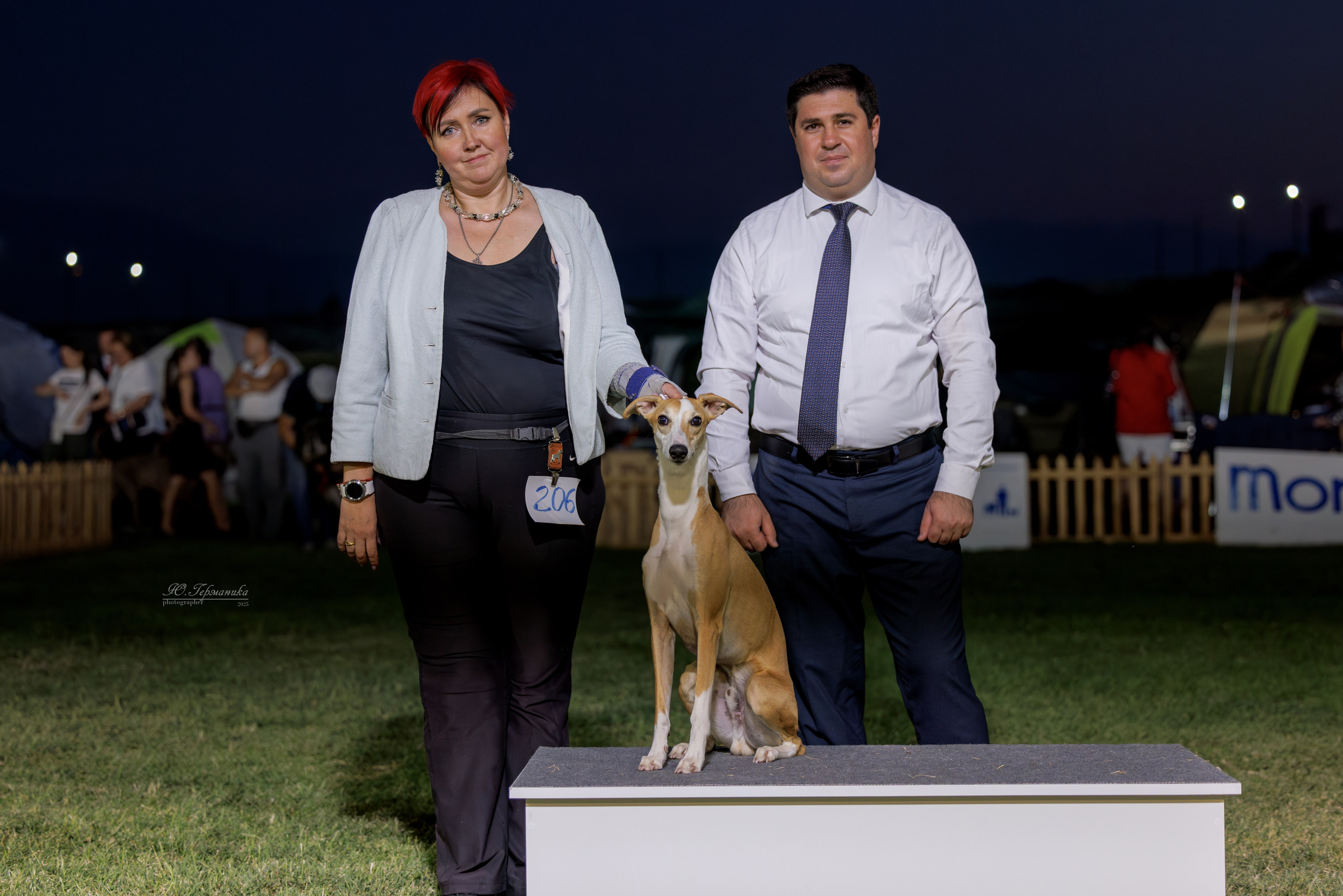 Ереван 3хCACIB 23-25.06.2025. Фотограф-анималист Юлия Германика