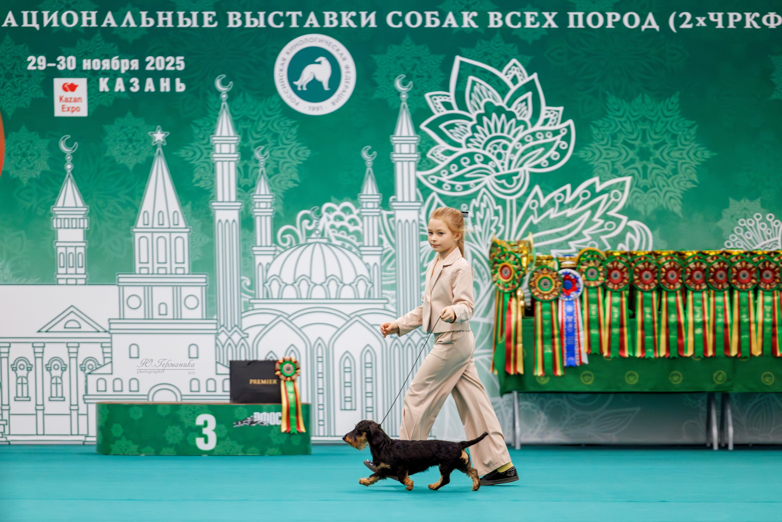 Зилант Казань 29-30.11.2025. Фотограф-анималист Юлия Германика