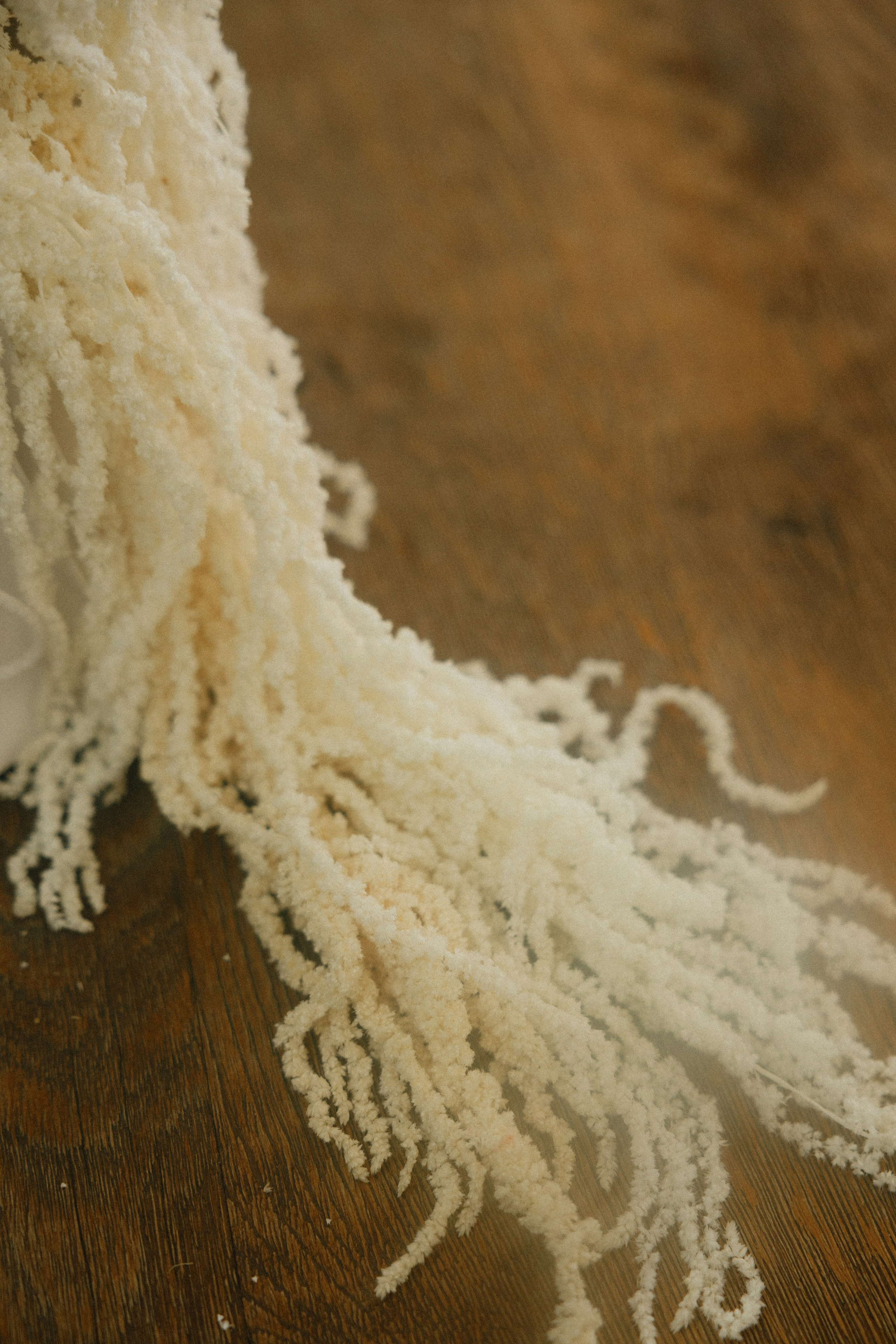 Лиза Илья. Свадебный и репортажный фотограф Новороссийск, Краснодар, Сочи Олеся Дзюба