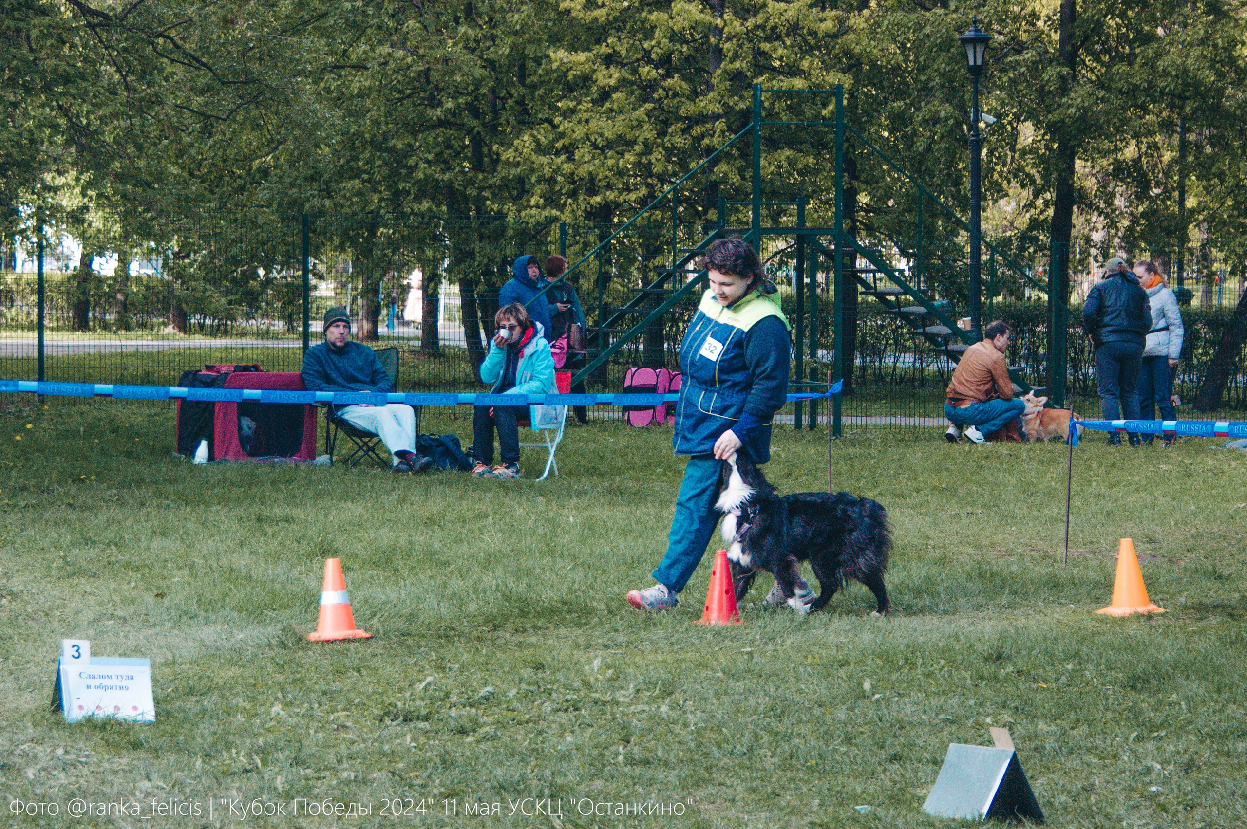 Хава. BLGKV питомник собак