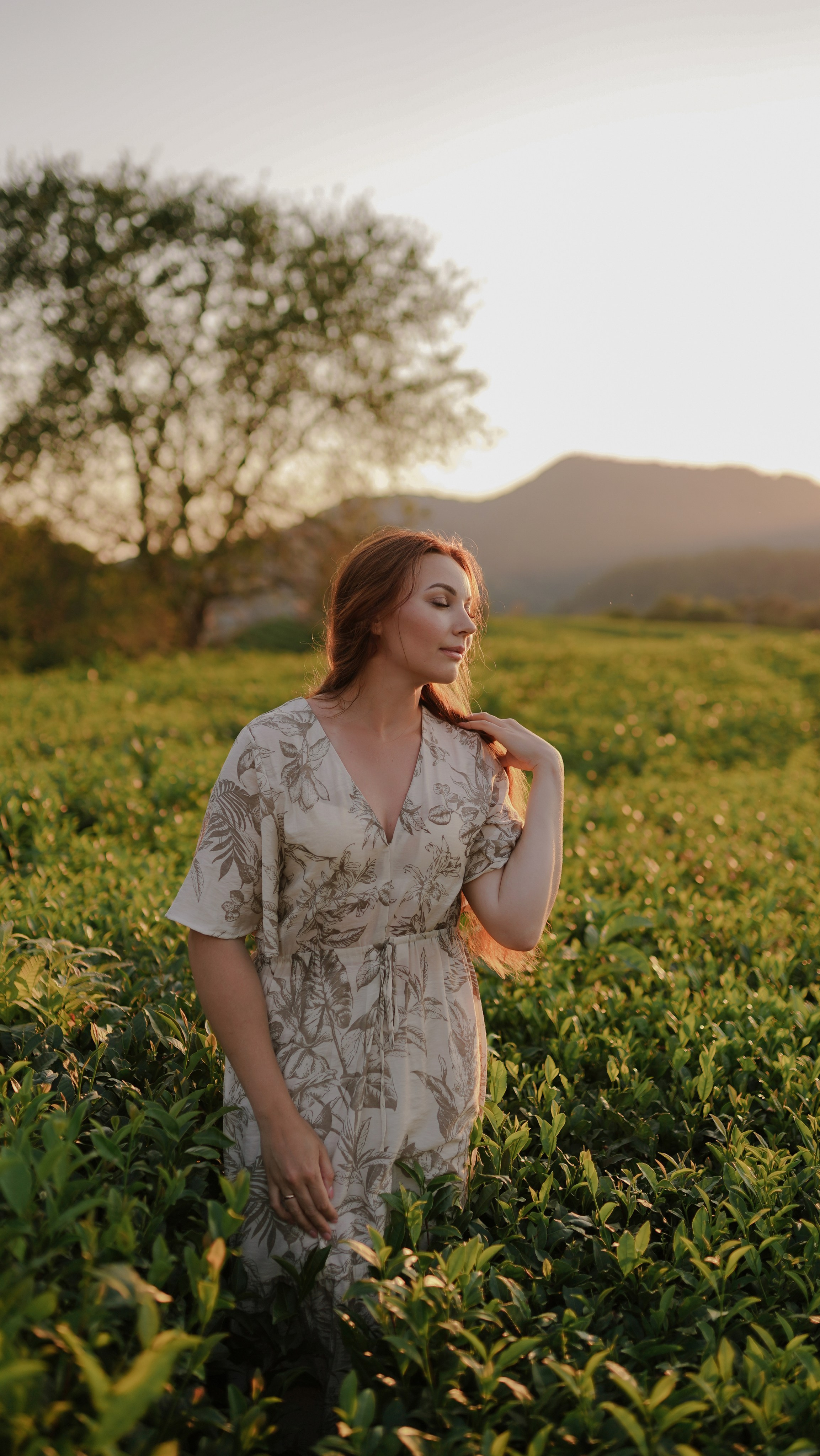Чайные плантации. Милана Довгаль - семейный фотограф и видеограф  в Адлере и Сочи