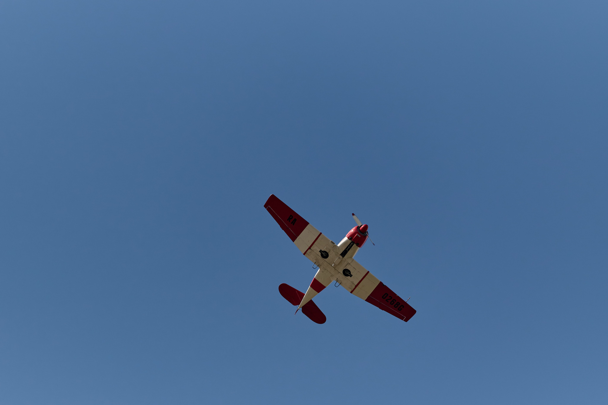 4 этап кубка Ракета 2025 год. Сергей Богомолов. Свадебный и семейный фотограф