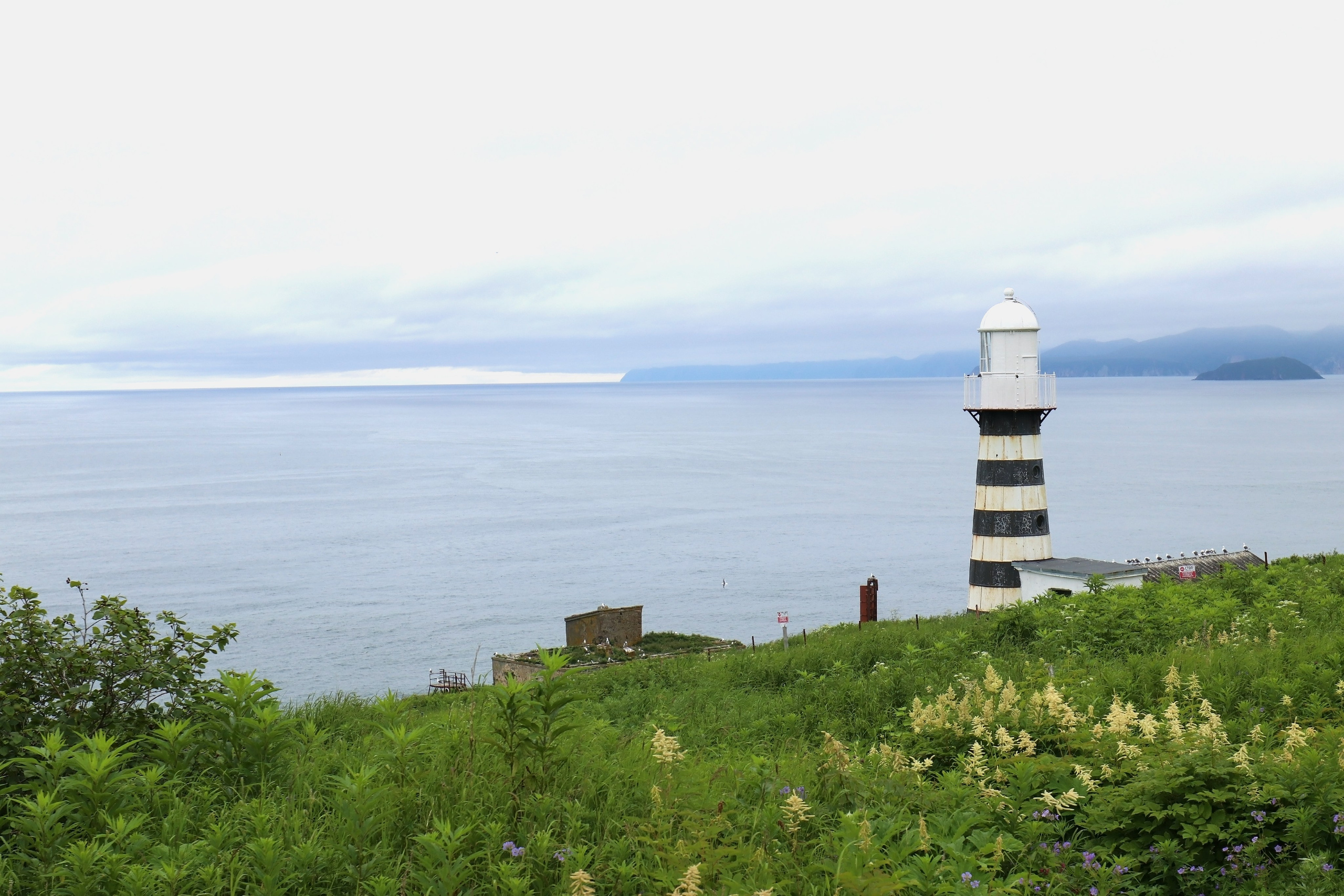 Камчатка и о. Парамушир. Июль 2024. Путешественник-фотограф из Санкт-Петербурга Татьяна Свистулина