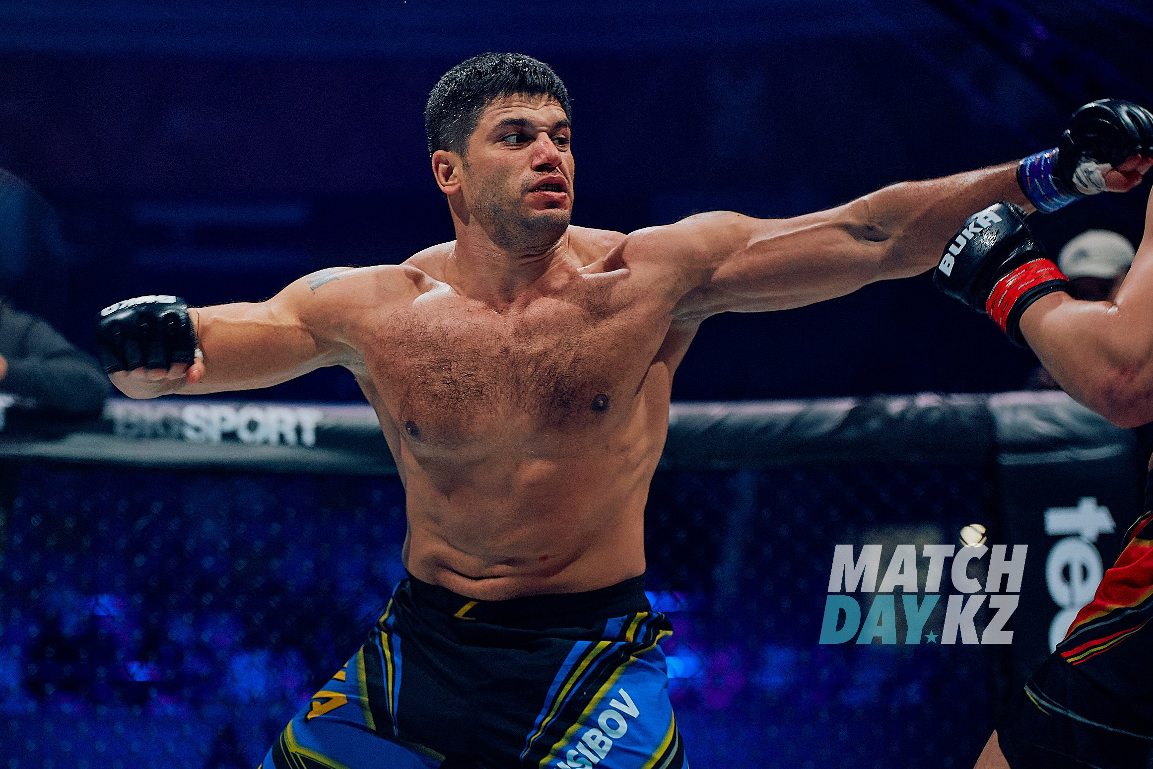 Naiza MMA (Astana) 6 December 2023. Professional photo & Event agency (Kazakhstan, Astana)