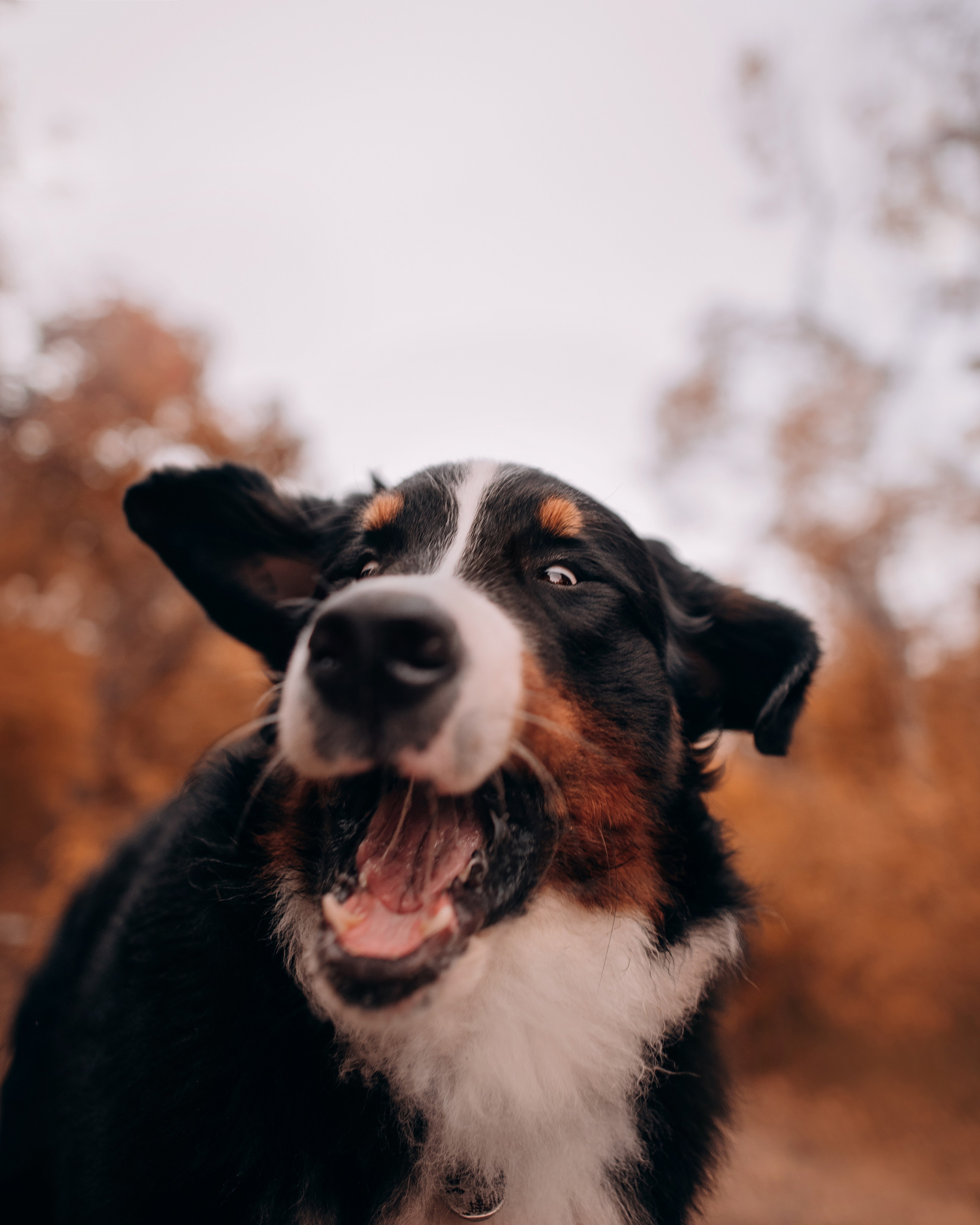 Владивосток: Марс и Маша. Портфолио