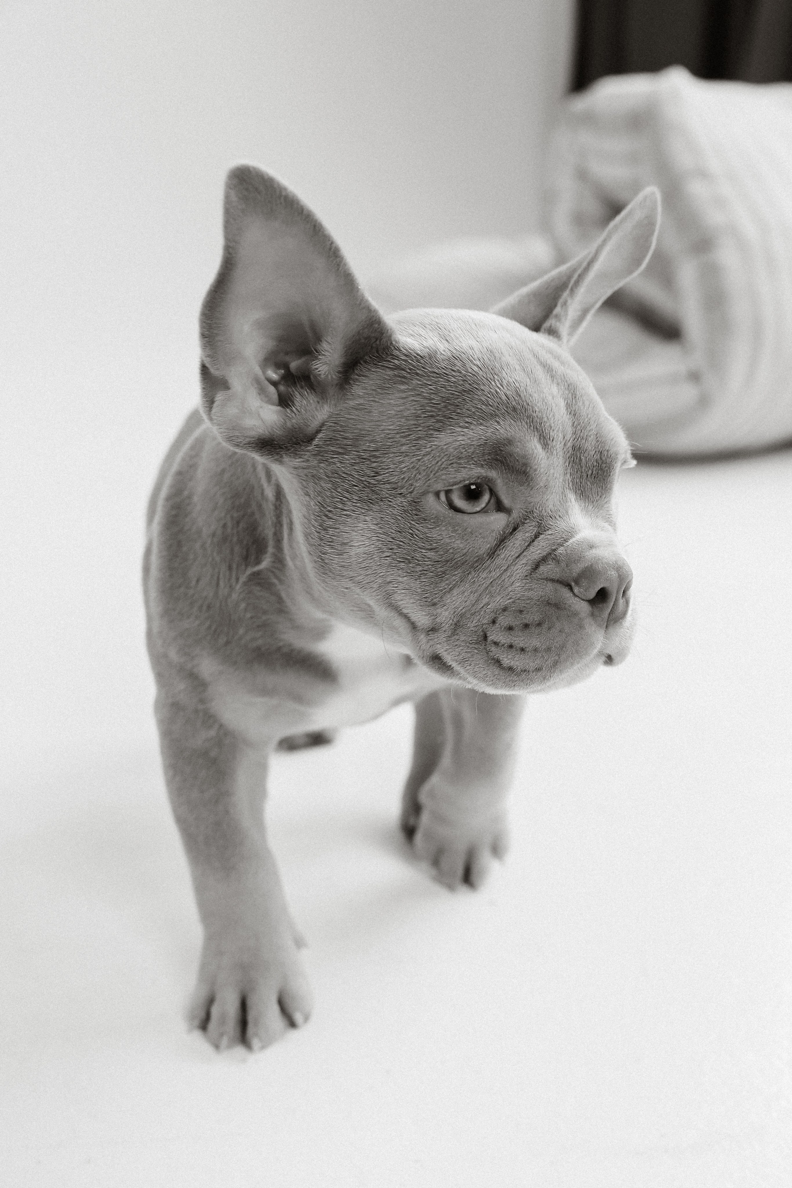 Семейная съемка с хвостиком. Фотограф Юлия Герасимова Иркутск