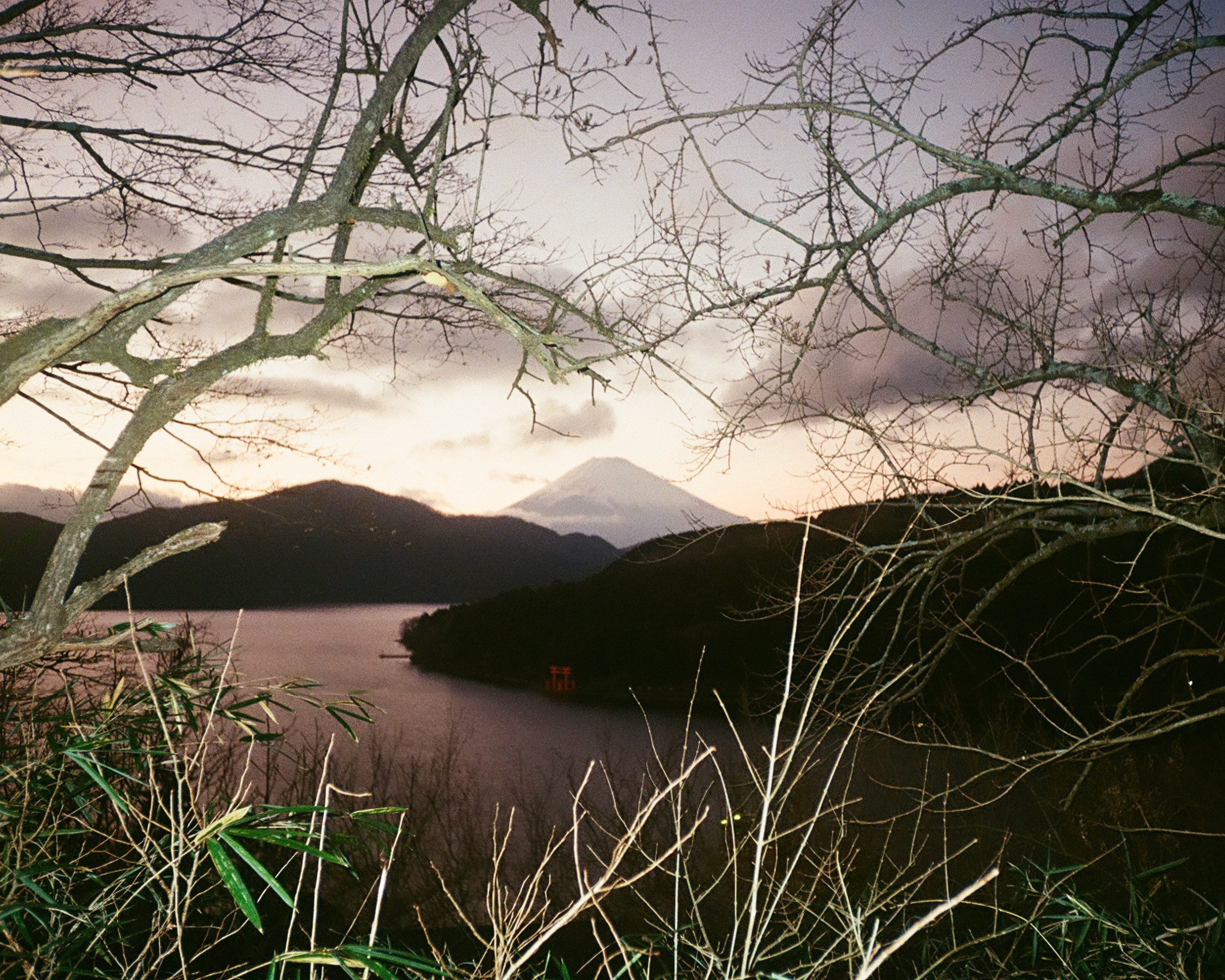 Hakone/26. Regina Platonova