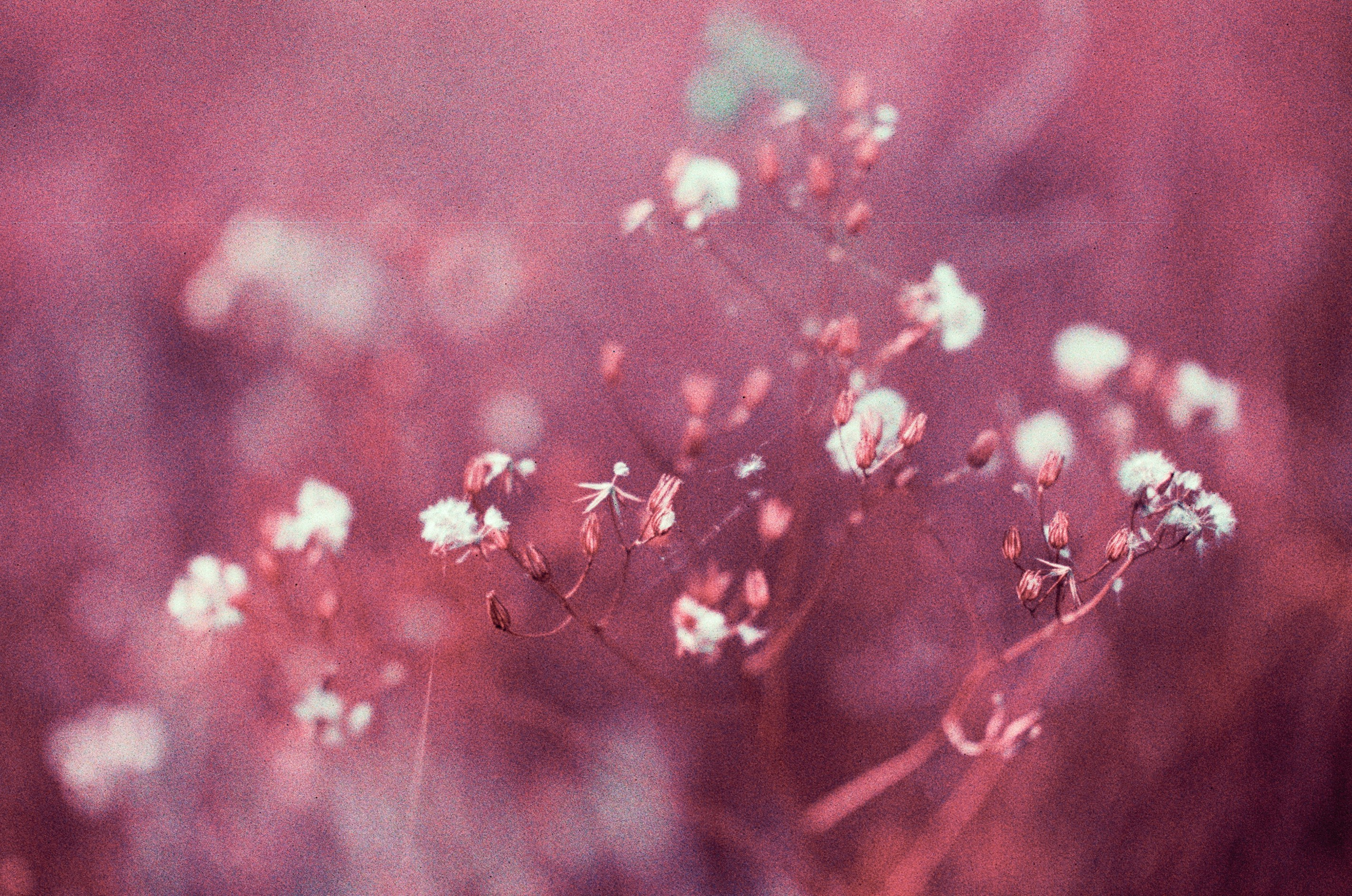 Dig it // ukraine, crimea X. EVER EXPOSED