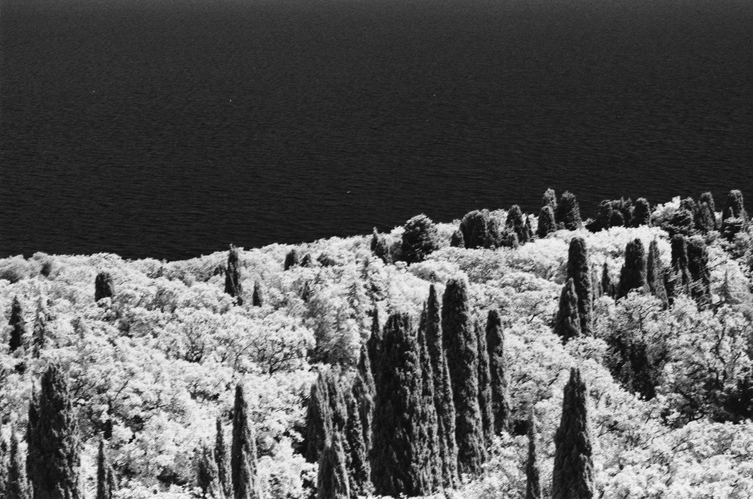 Point of no reply // ukraine, crimea IX. EVER EXPOSED