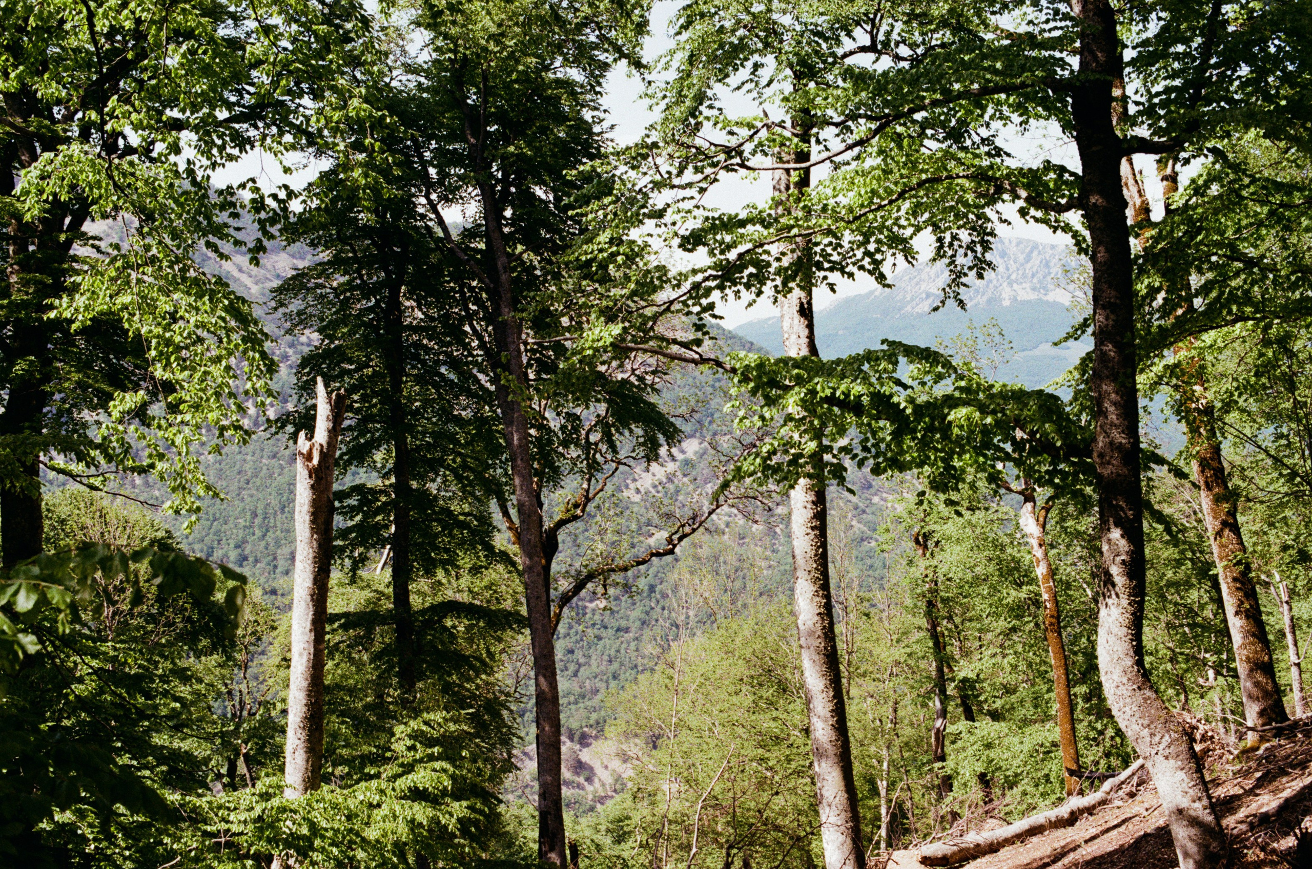 Point of no reply // ukraine, crimea III. EVER EXPOSED