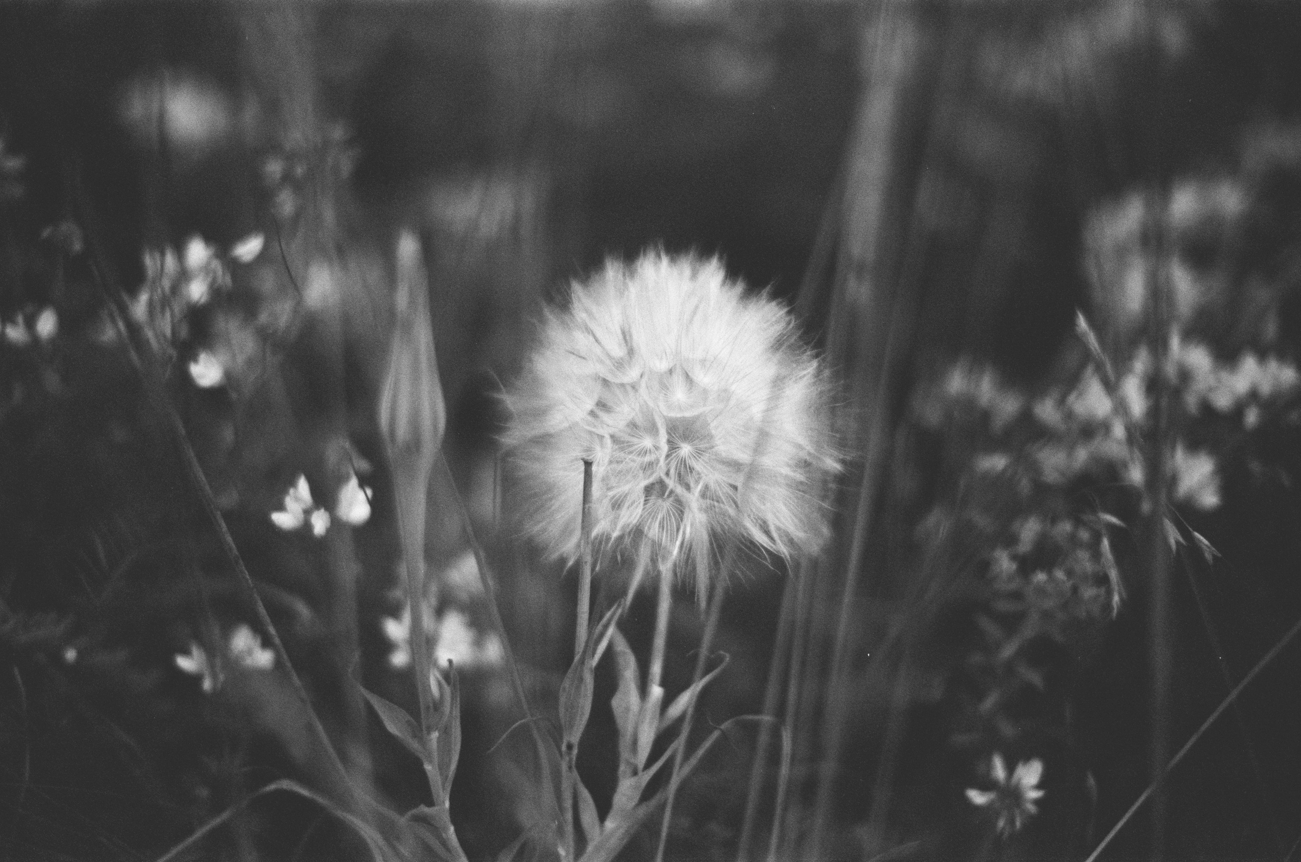 Move me // ukraine, crimea II. EVER EXPOSED