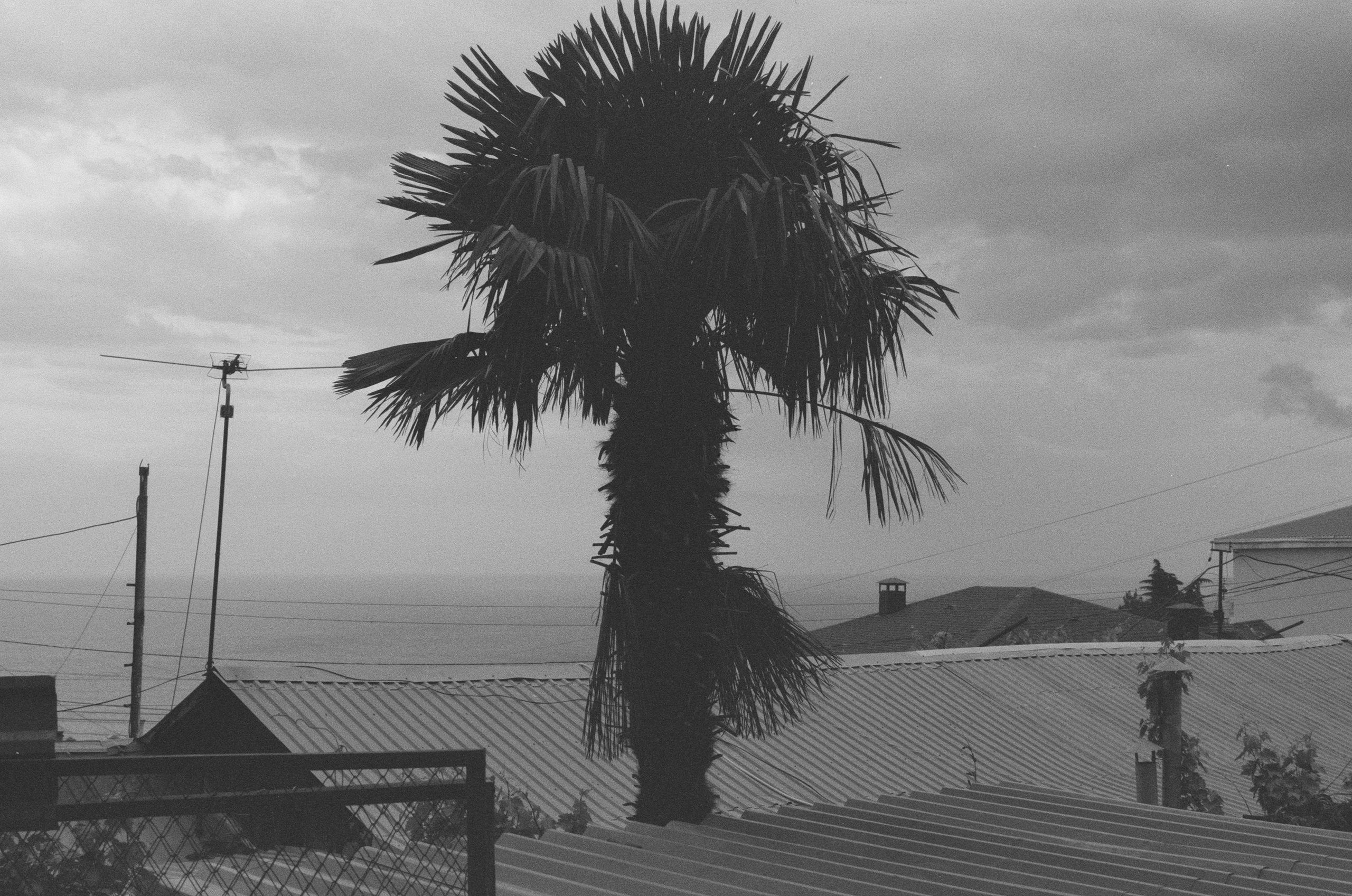 Plastinki // ukraine, crimea IV. EVER EXPOSED