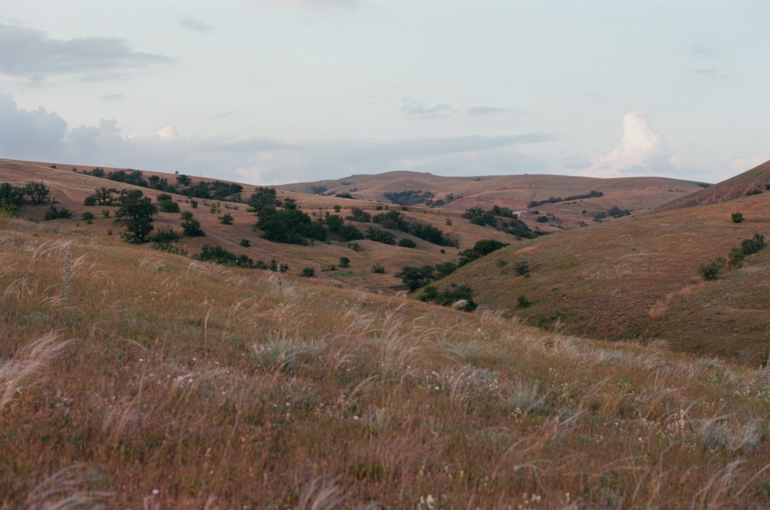 This time // ukraine, crimea IV. EVER EXPOSED
