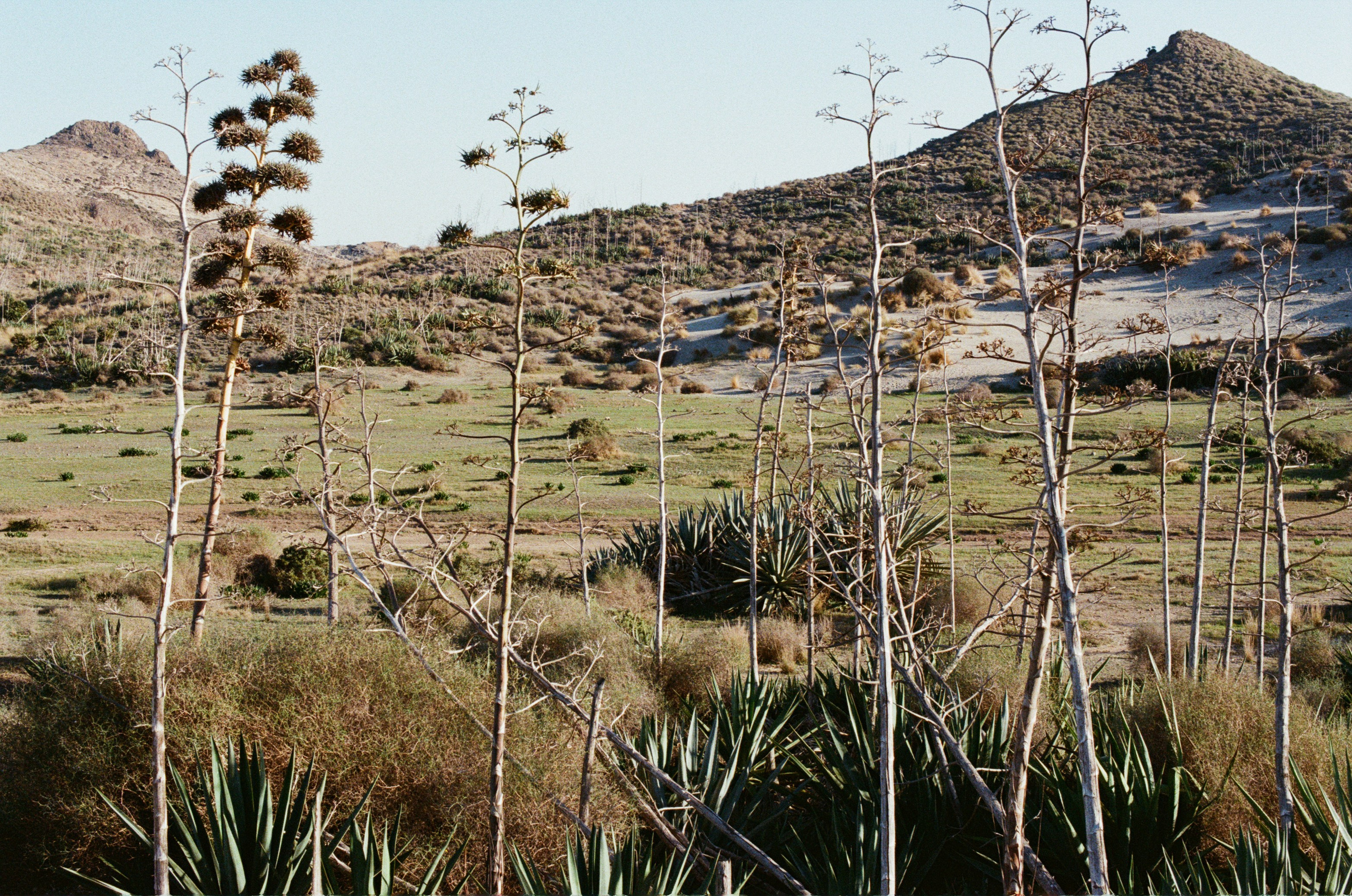 Spanish sahara // spain, cabo de gata. EVER EXPOSED