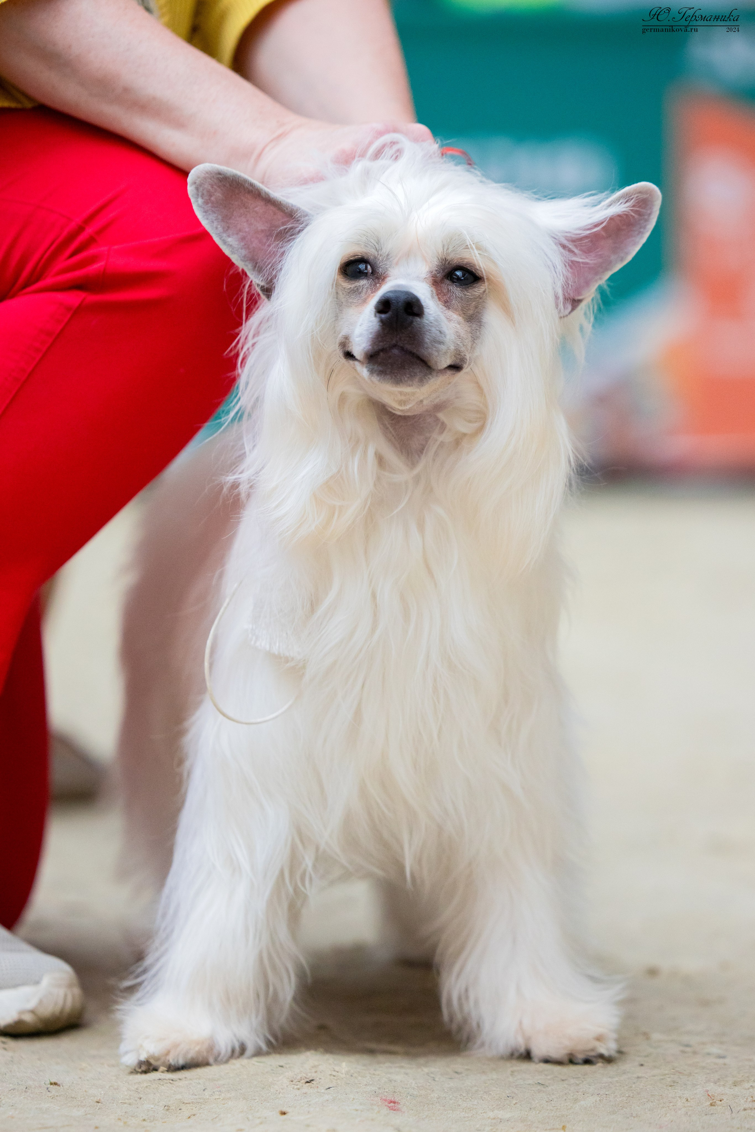 РОССИЯ 8-9.06.2024. Фотограф-анималист Юлия Германика