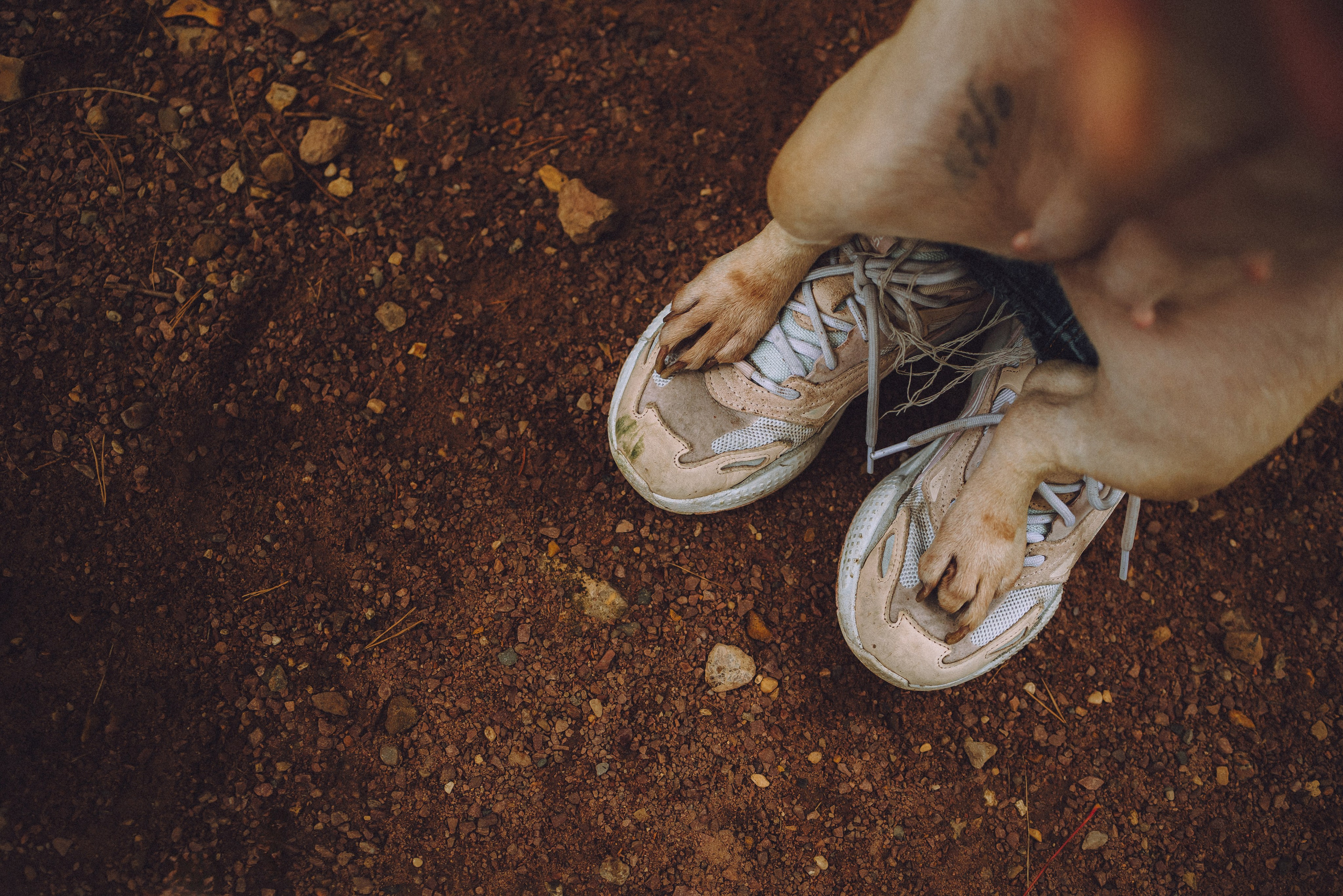 Антонина и Амиша