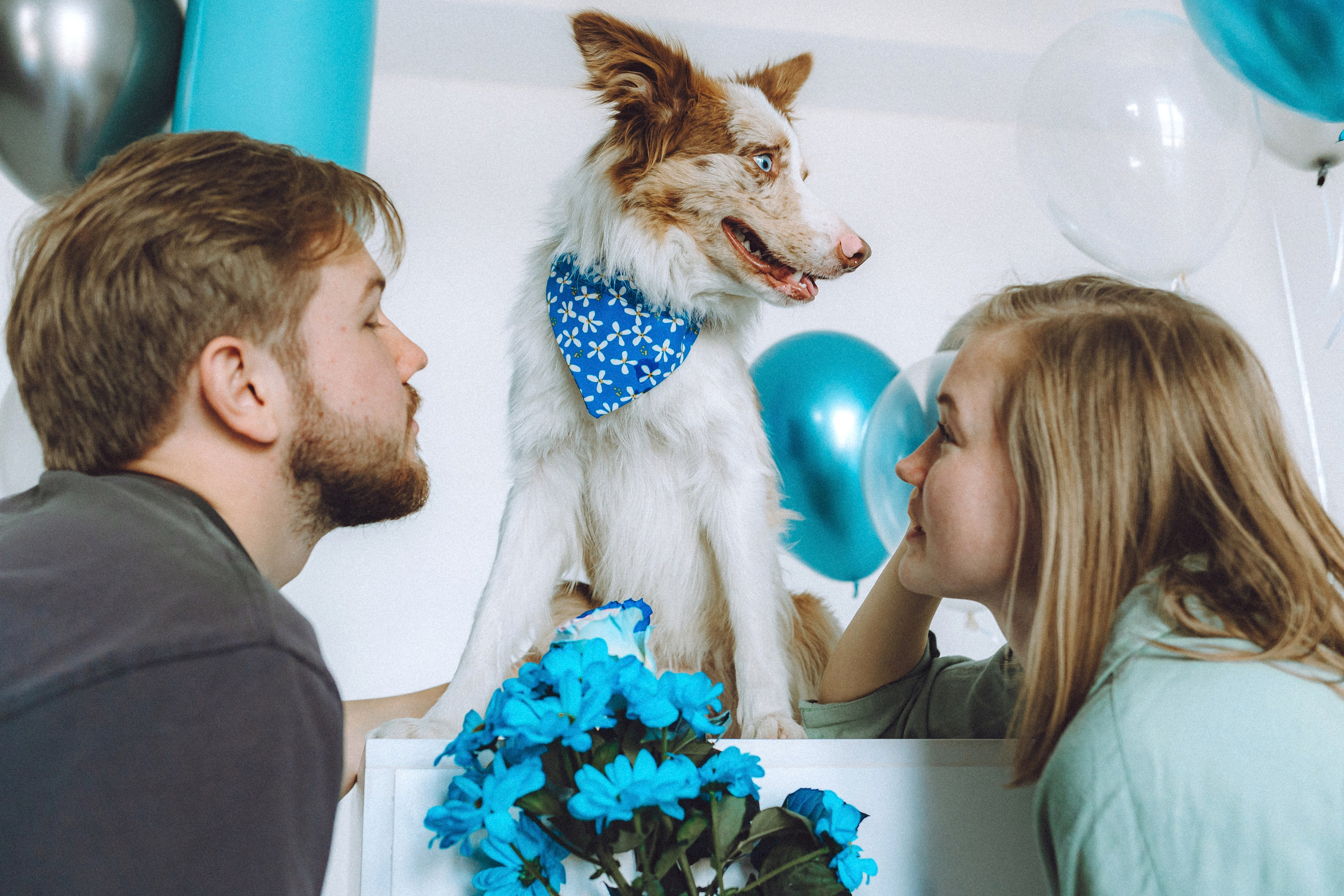 День рождения Айко