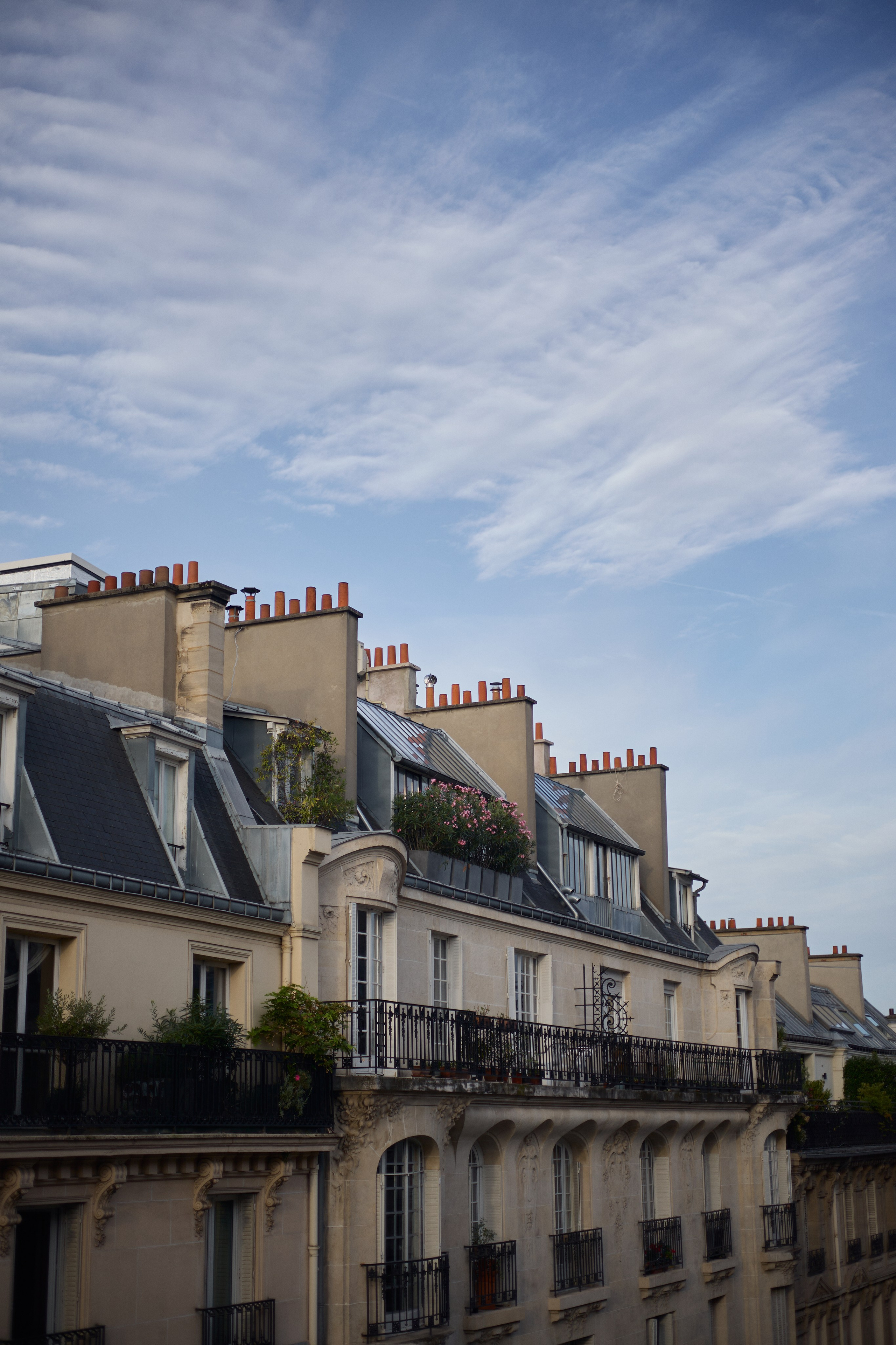 France (Provence & Paris) Sep'25. Анастасия Зобнинá — фотограф в Санкт-Петербурге/СПб