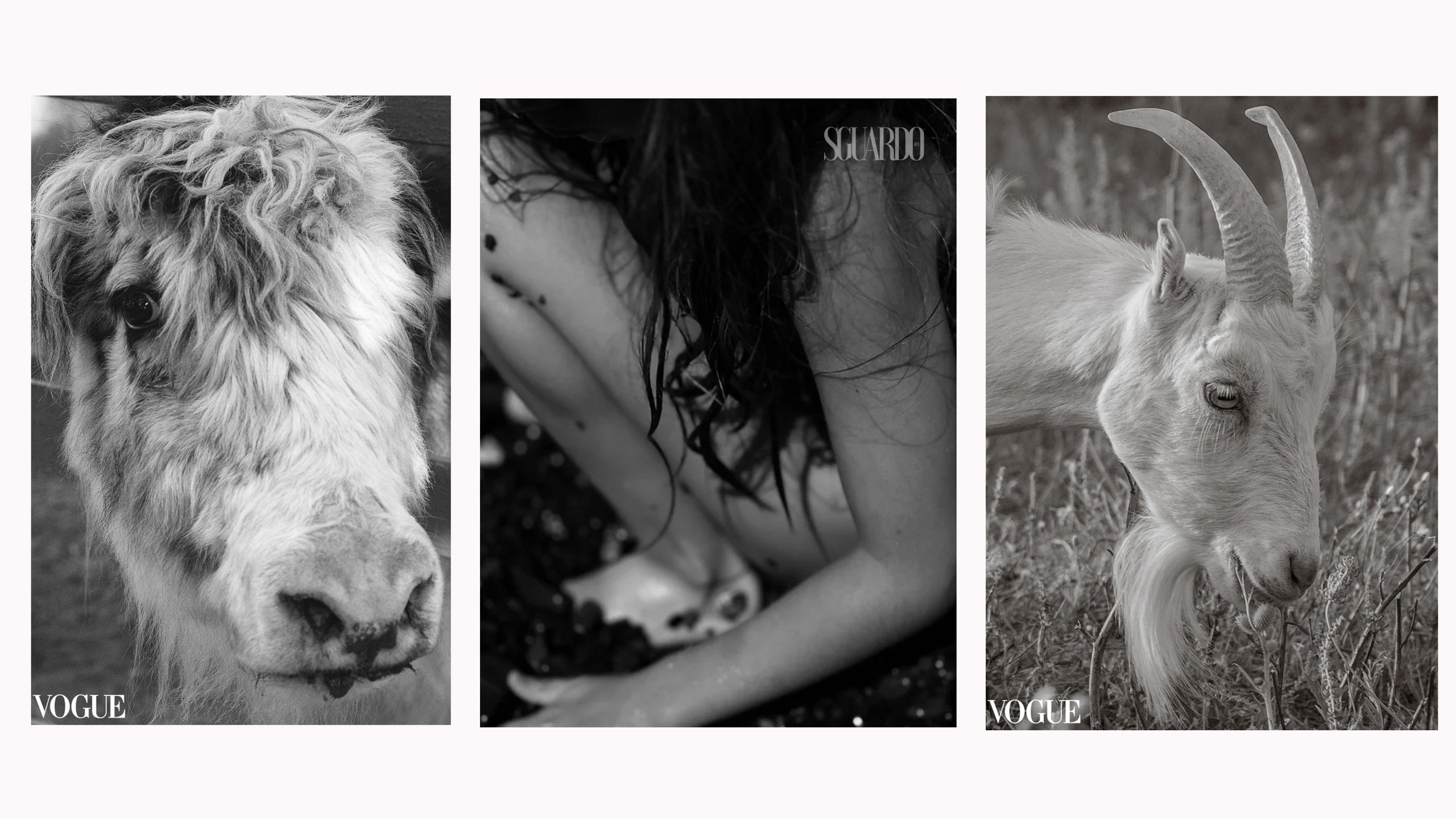 Фотограф Наталия Шляпина в Ростове-на-Дону