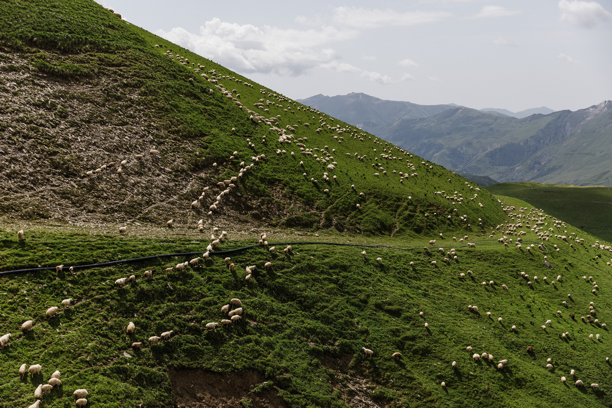 Georgia. Свадебный и семейный фотограф в Краснодаре Роман Моско