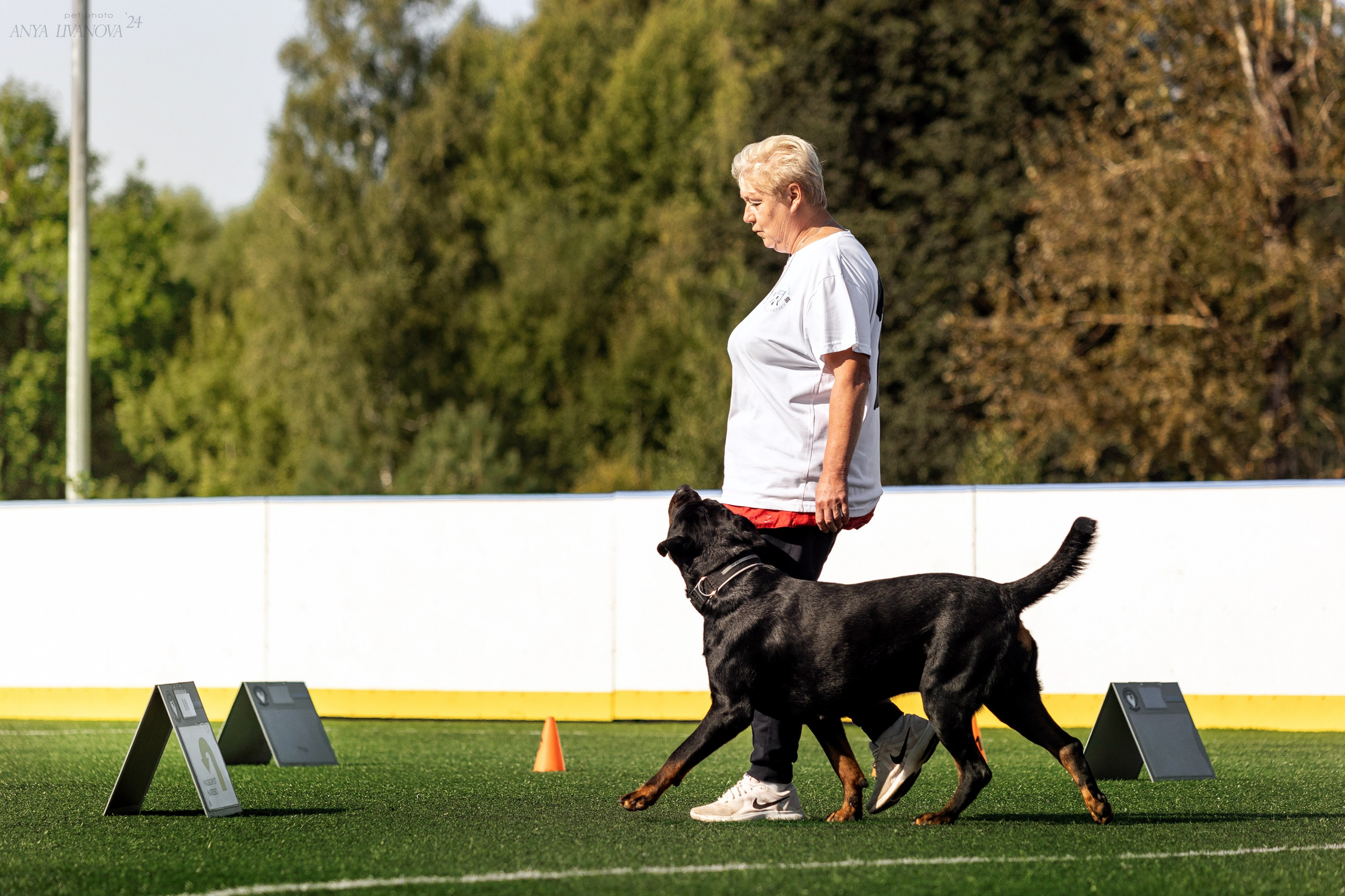 Ралли обидиенс. Фотограф анималист Аня Ливанова | Рыбинск
