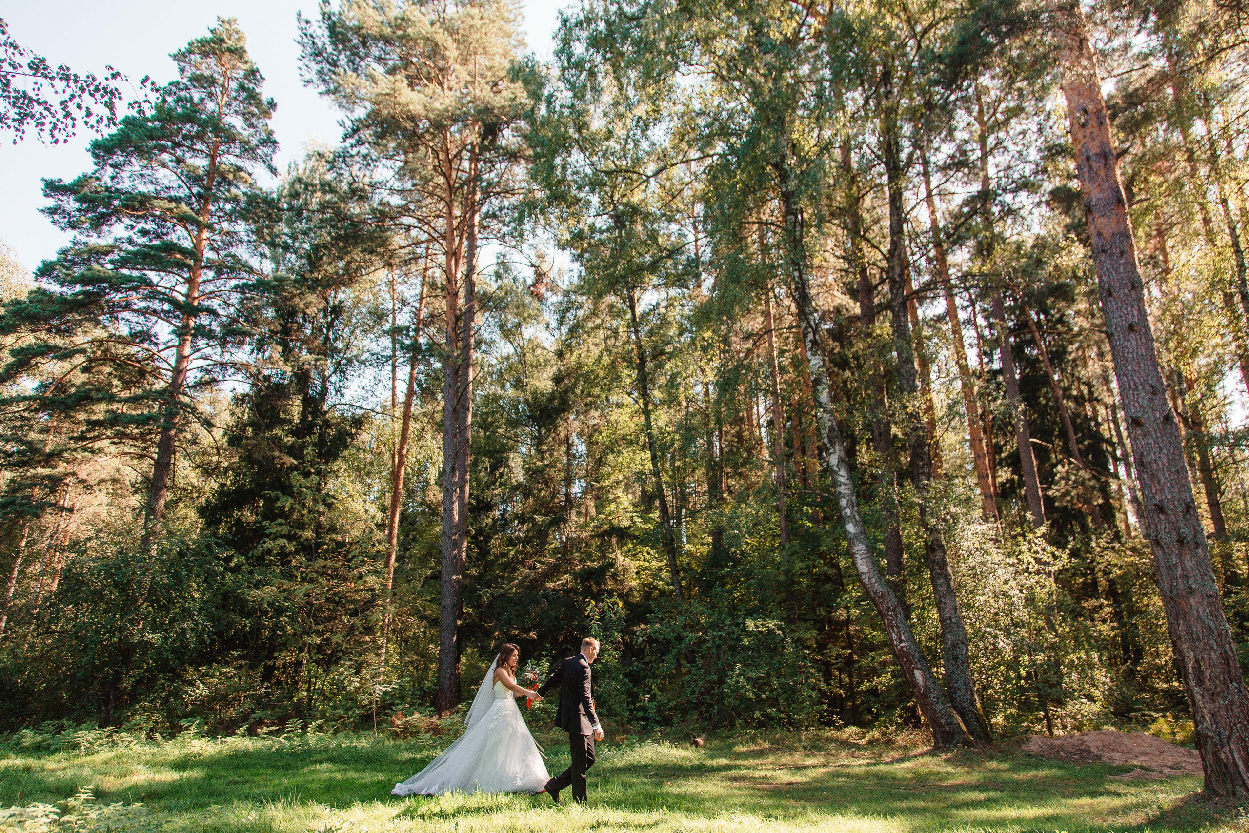 Сергей и Евгения. Свадебный фотограф Александр Абрамов Москва / Зеленоград