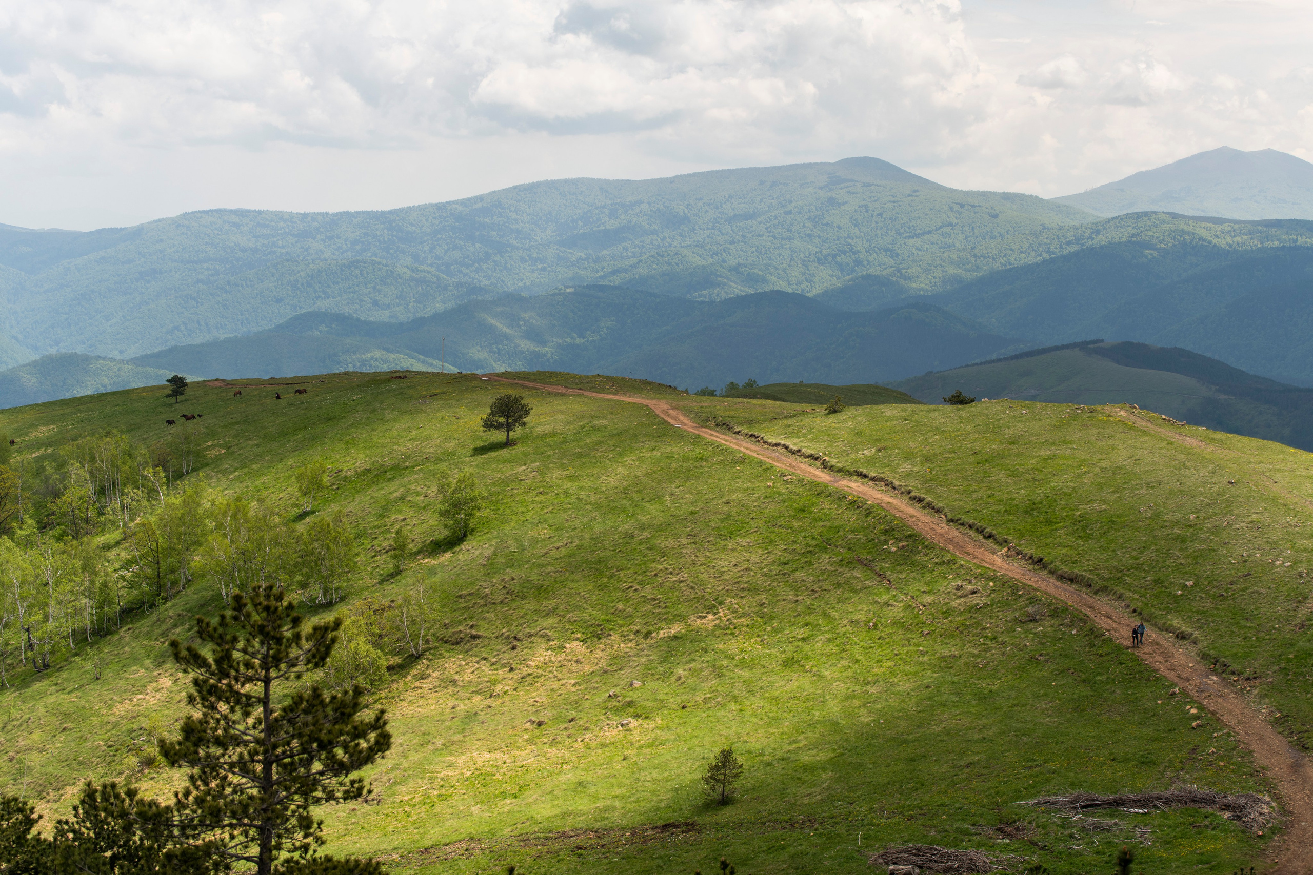 Столови. Сербия. Фотограф в Москве. Шахабудин