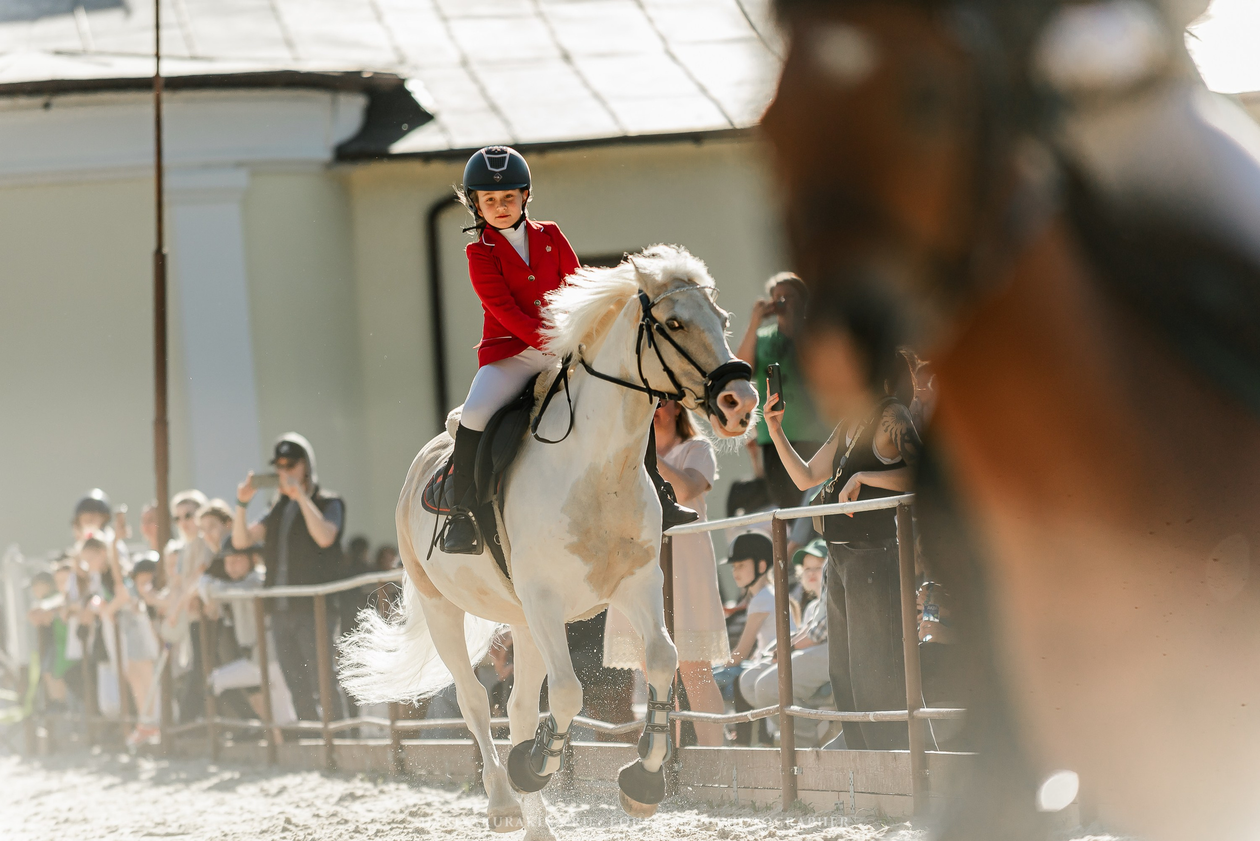 #ПОНИФОРУМ 2024. Конный фотограф Куракина Дарья • Фотосессии с лошадьми