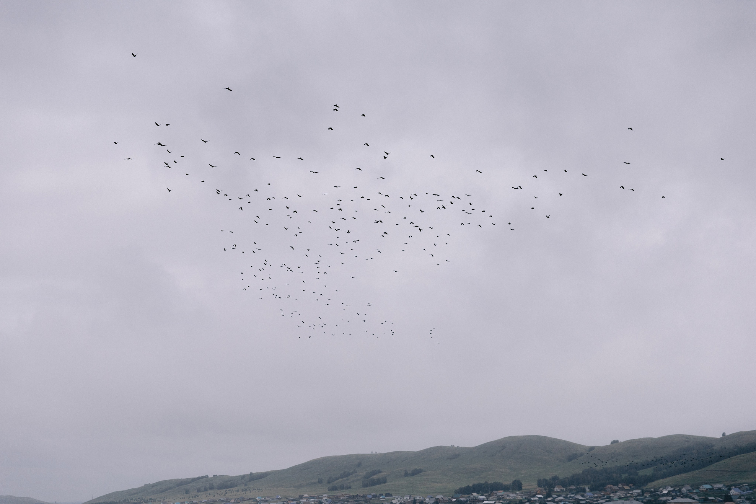 Бесконечность. Даша и Алмаз. Свадебный и семейный фотограф в Магнитогорске Катя Буряк