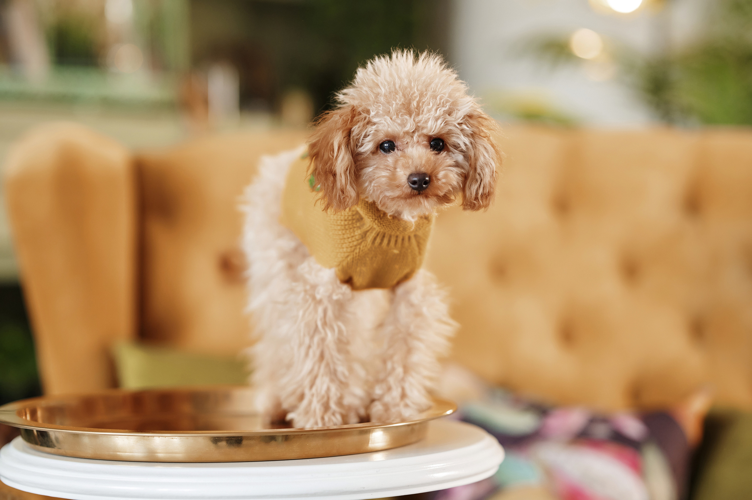 Ирина. Фотограф в Воронеже Тазаева Светлана