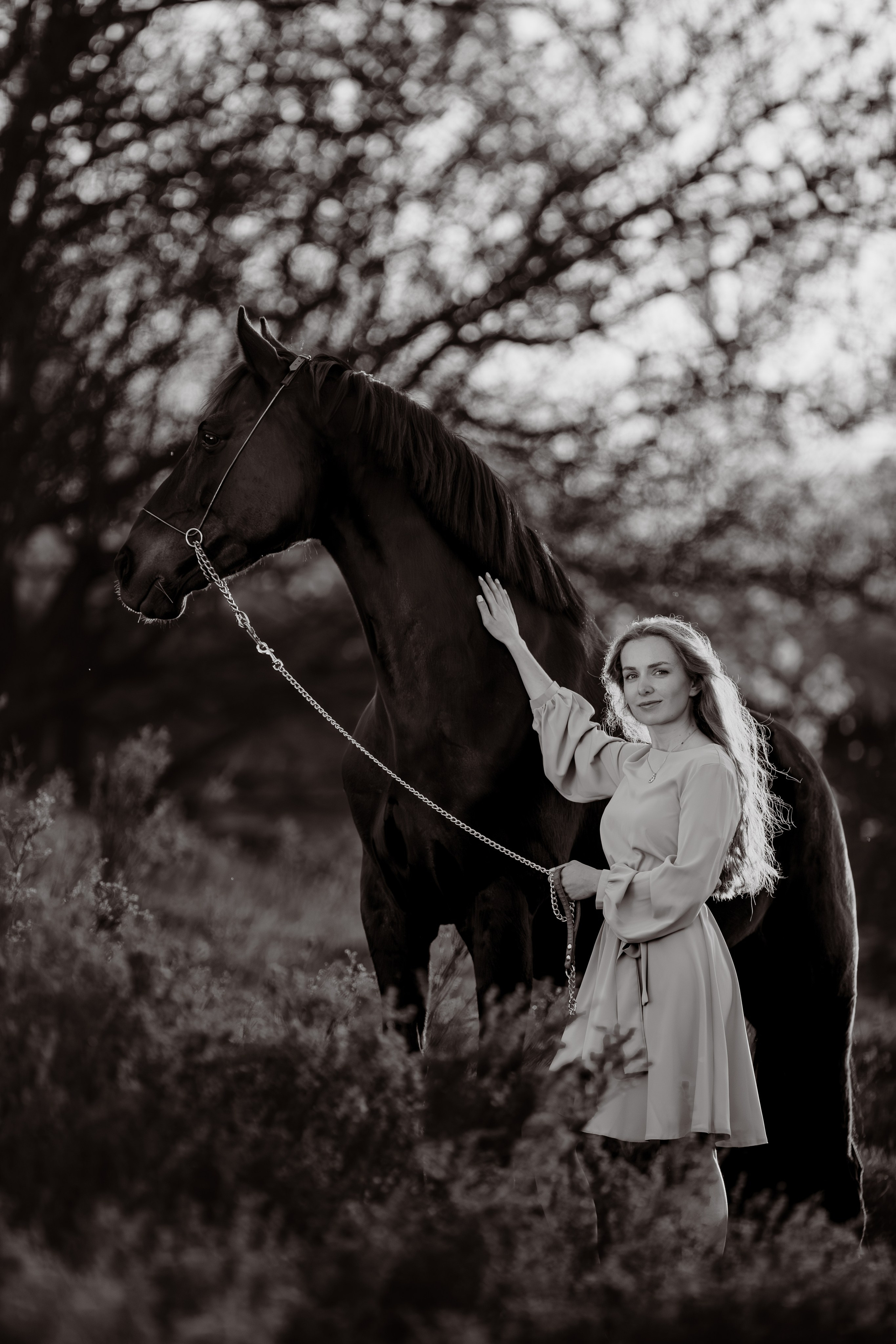 Вероника и Брэй. Фотограф-анималист Ксендзова Кристина