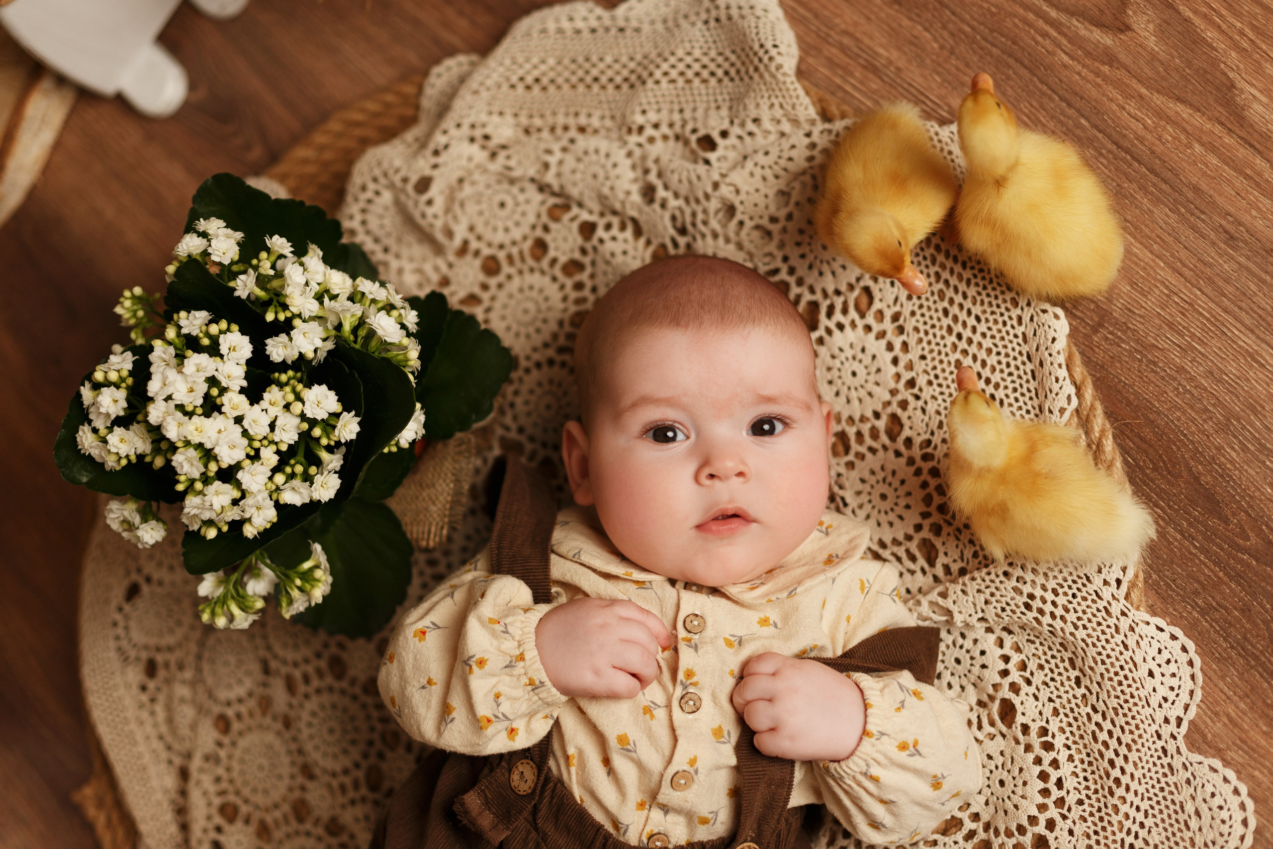 Фотопроекты. Фотограф новорождённых семейный фотограф Томск Елена Каплина