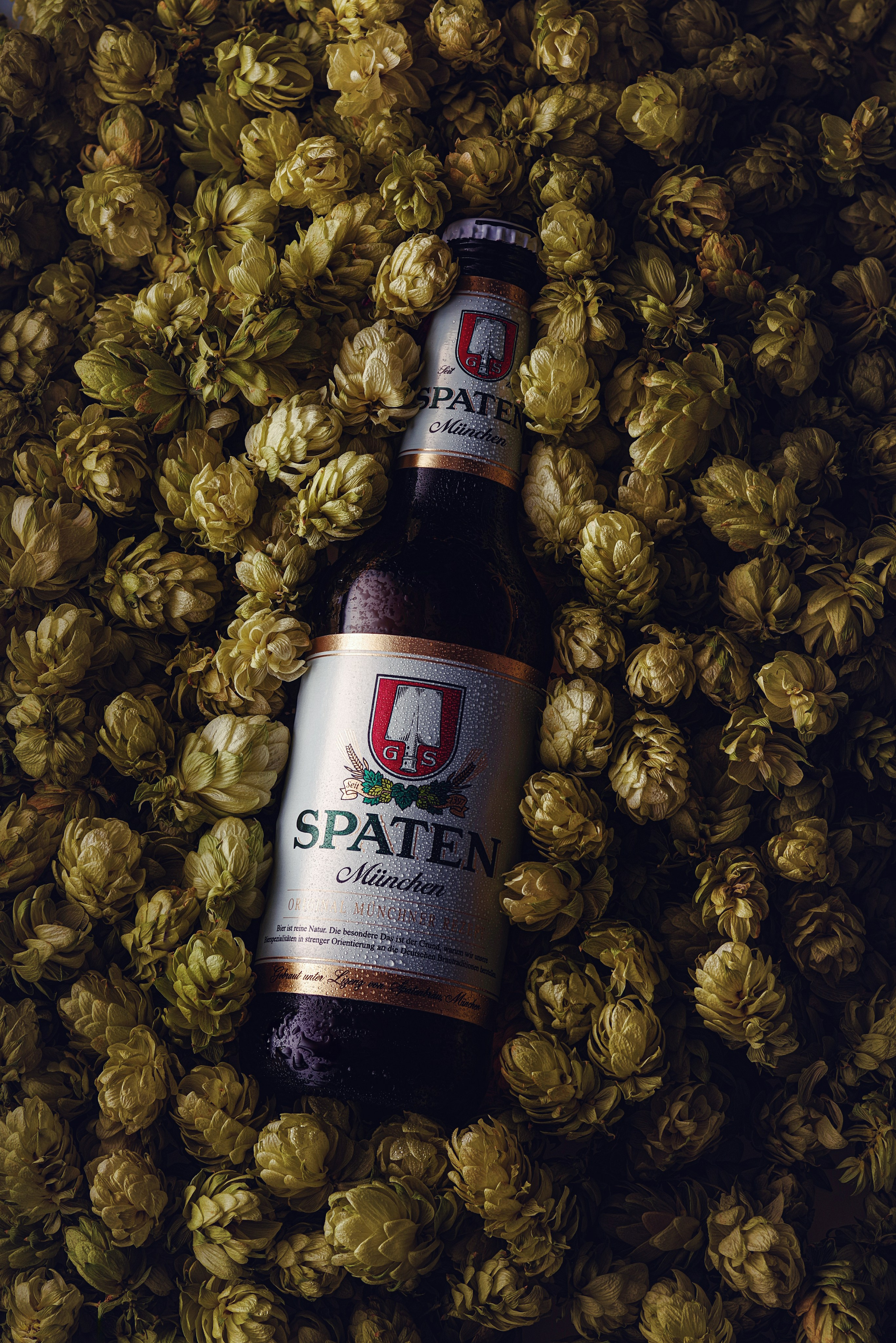 Напитки и пиво в Ростове-на-Дону