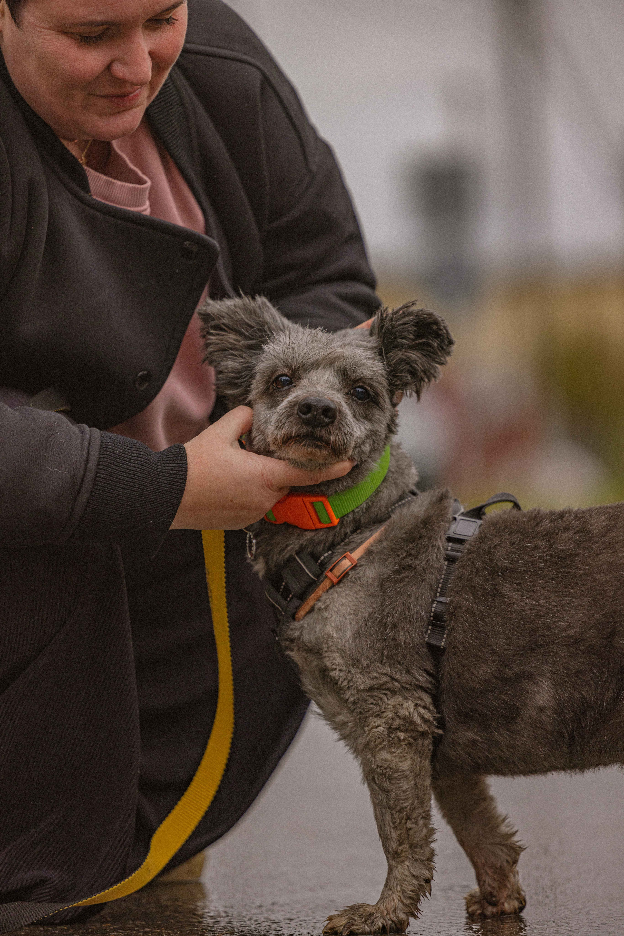 Передержка. Фотограф-анималист в Москве Лера Черноног