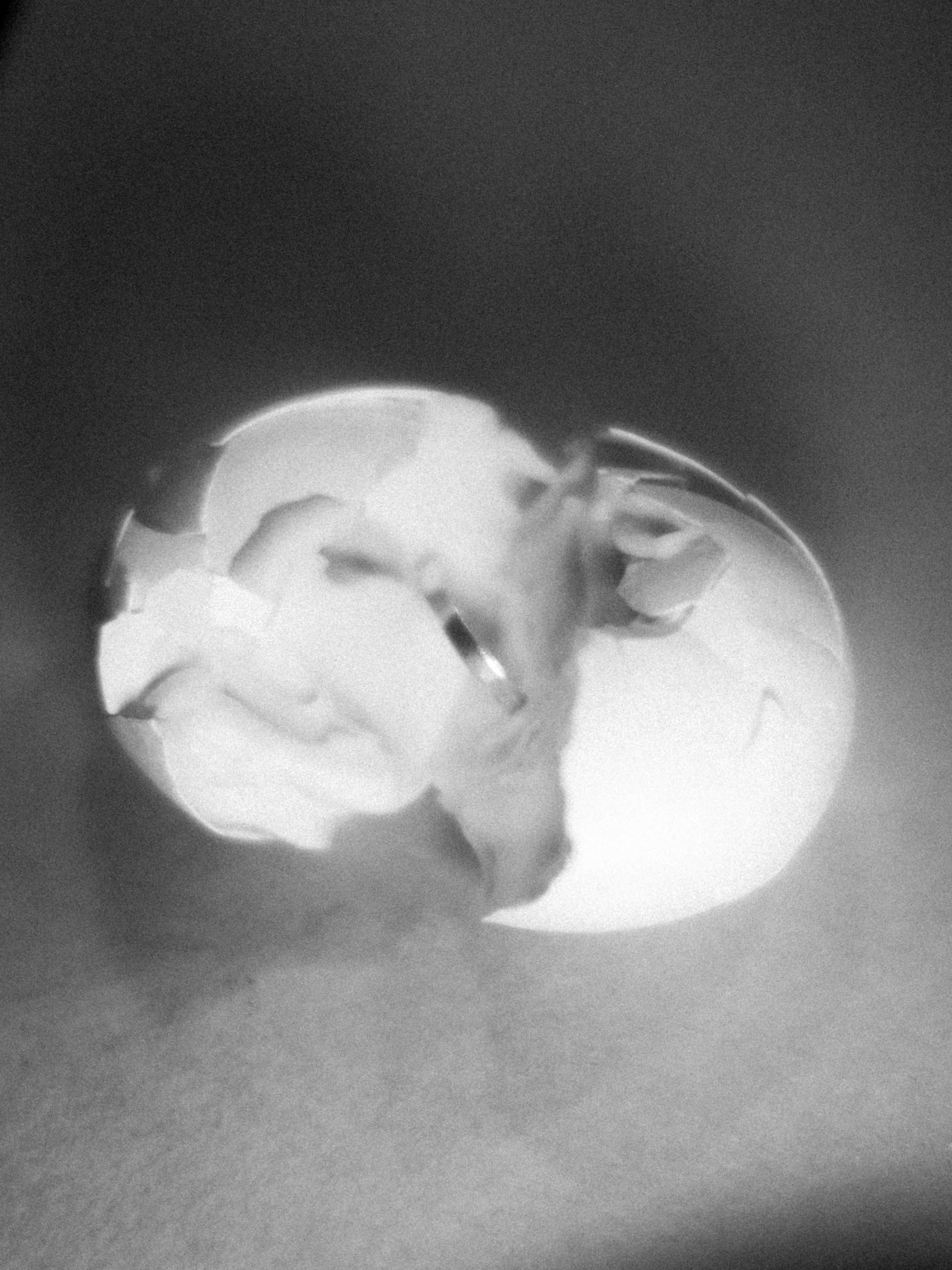 Предметная съемка. Фотограф Полина Треногина