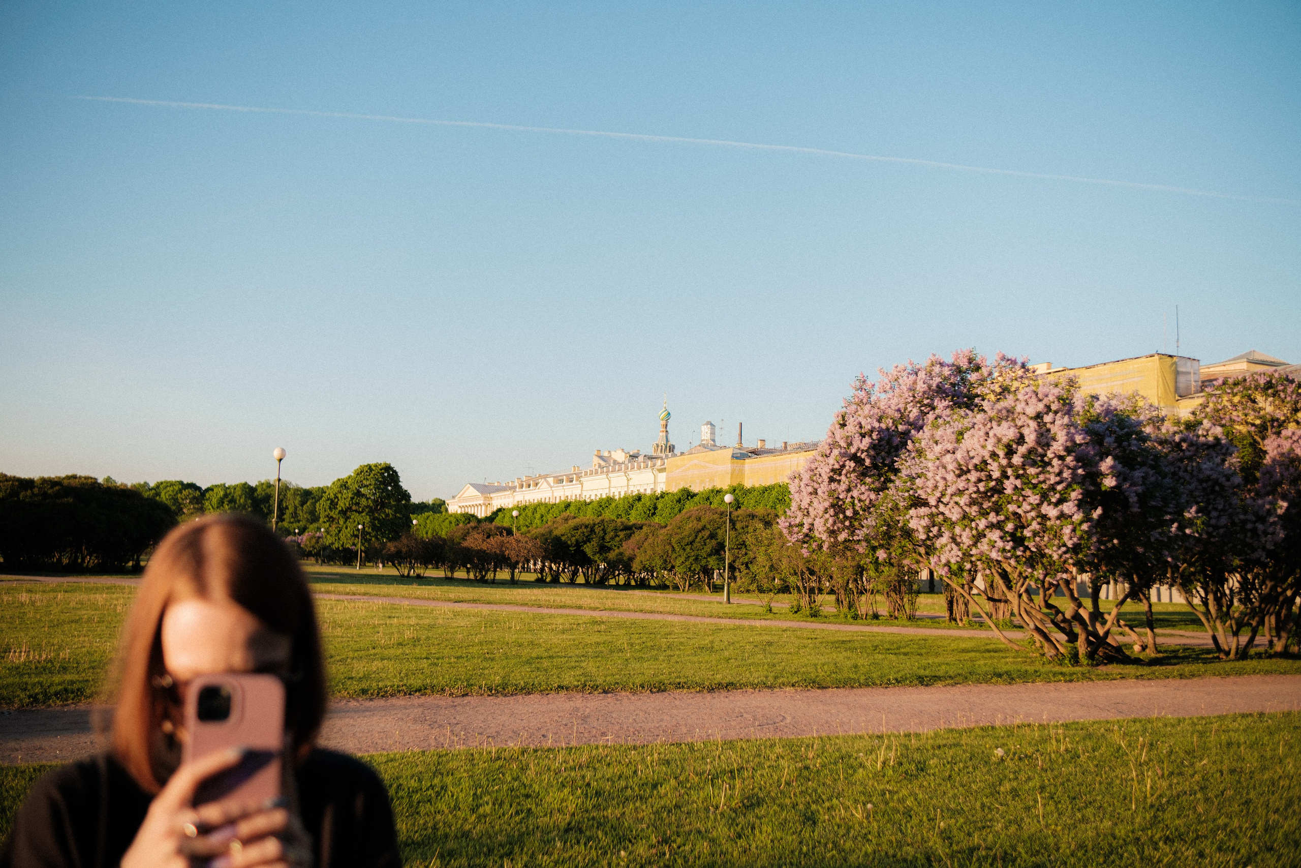 Утром на марсовом поле. Михаил Долганов