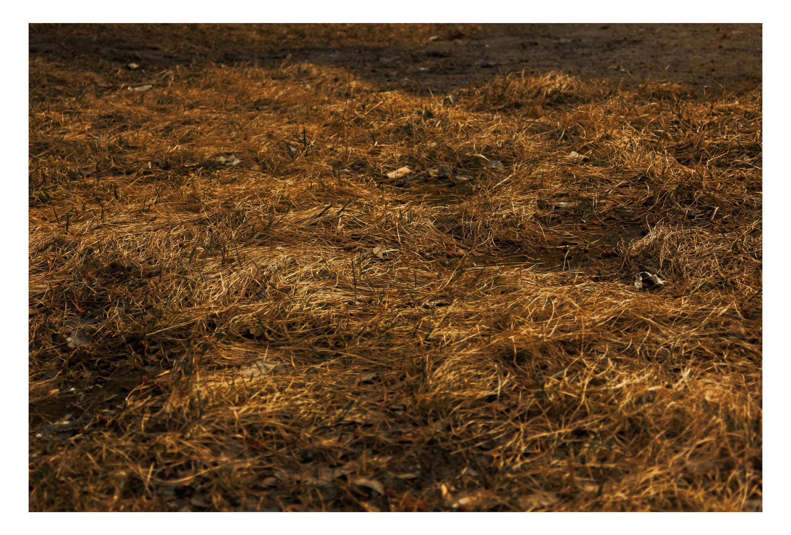 12.04.2025 | Сосновоборск. Kuznetsov | Фотограф в Красноярске
