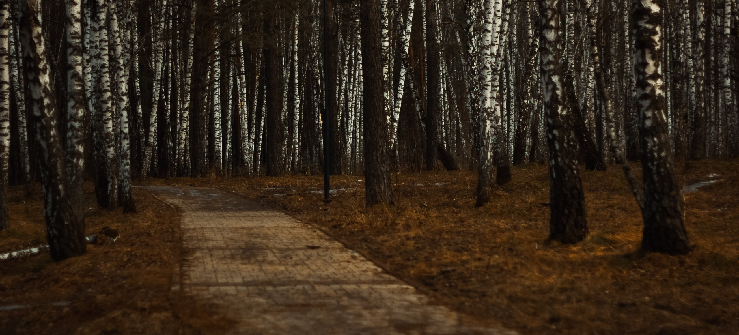 21.03.2025 | Сосновоборск. Kuznetsov | Фотограф в Красноярске