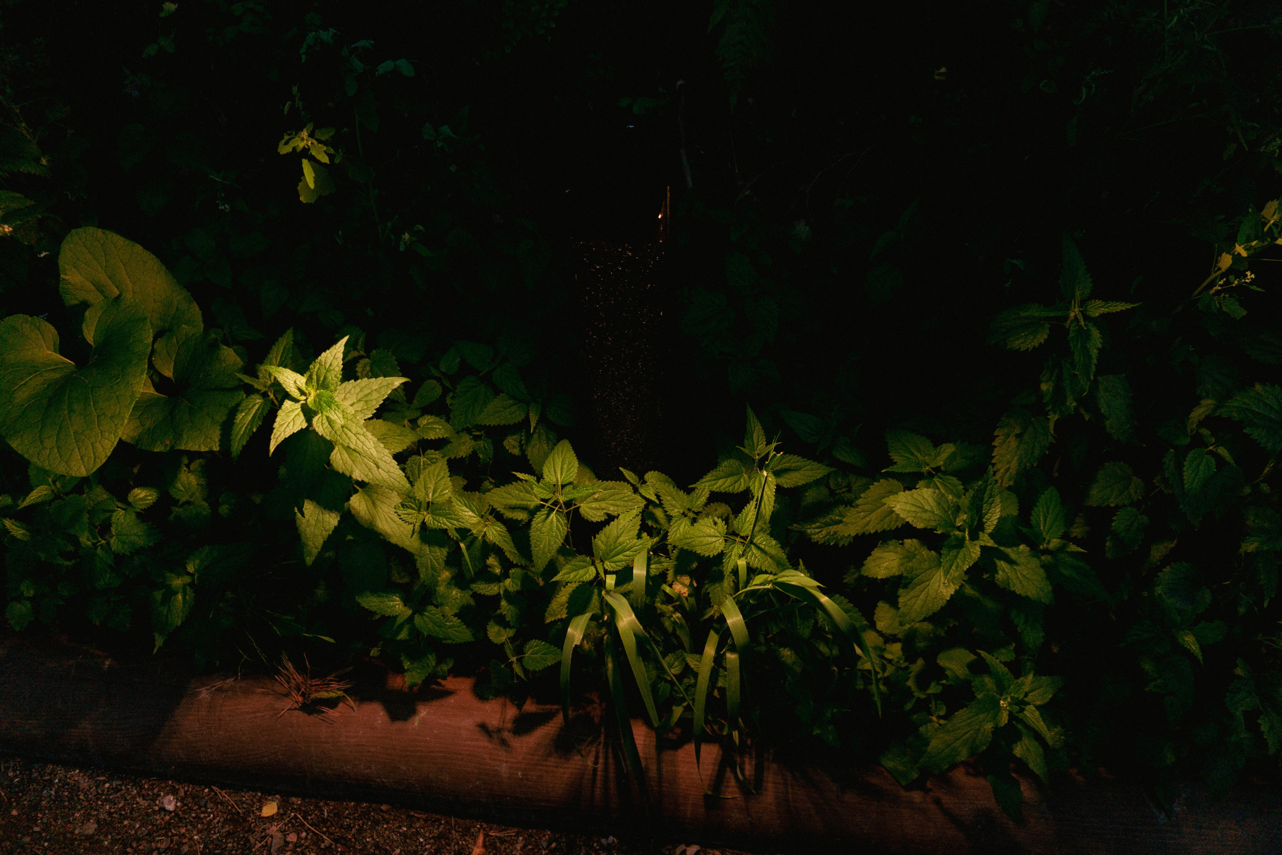 31.07.2025 | Красноярск. Kuznetsov | Фотограф в Красноярске