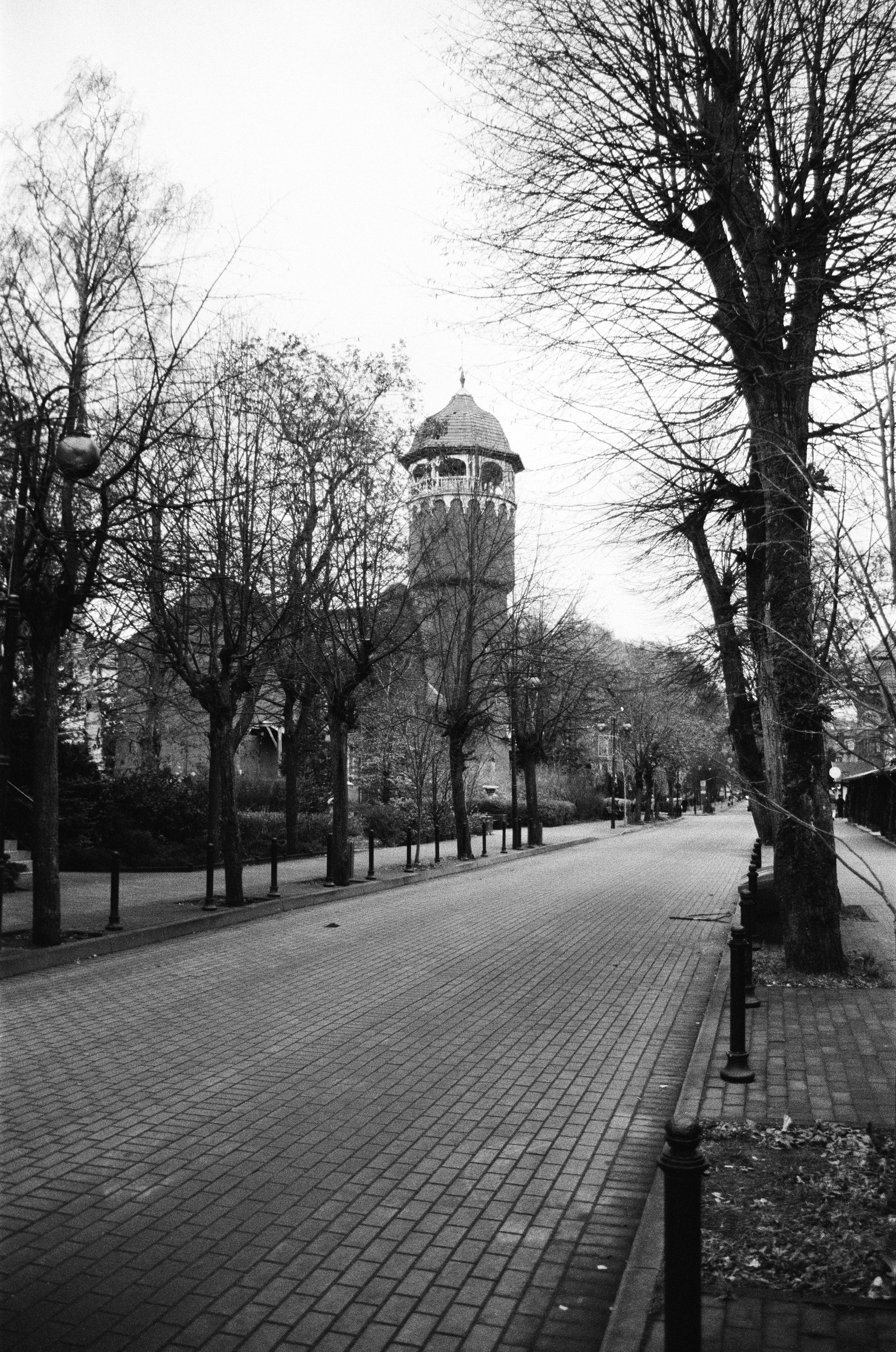 Пленка ЧБ. Фотограф Соня с Земли